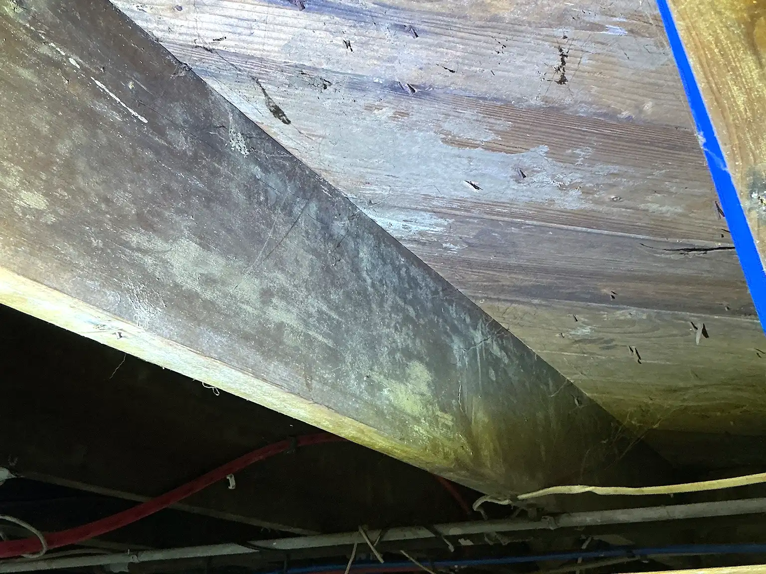Mold found on a surface during an inspection in North Madison.
