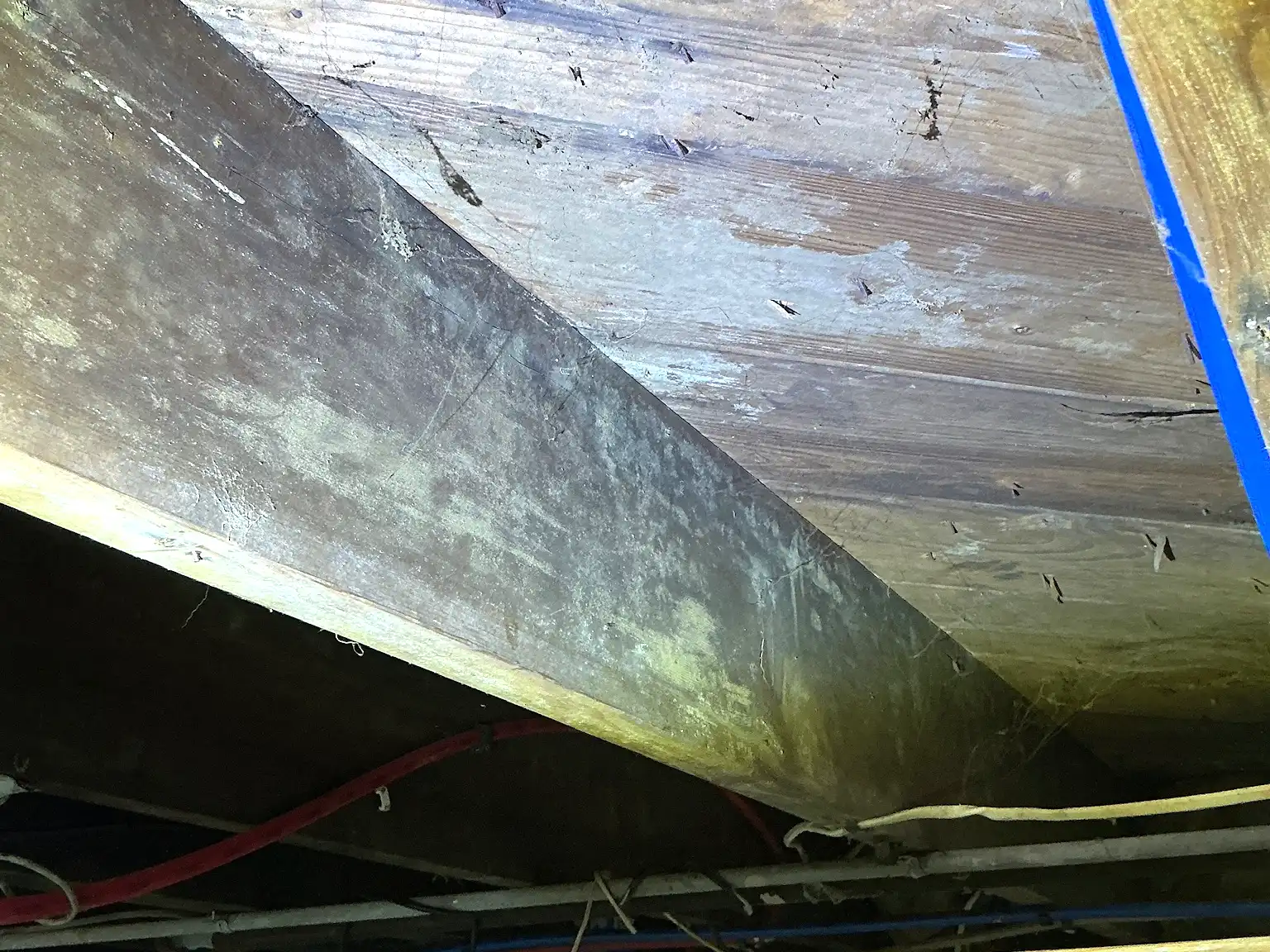 Our mold inspector found this surface mold in North Madison.