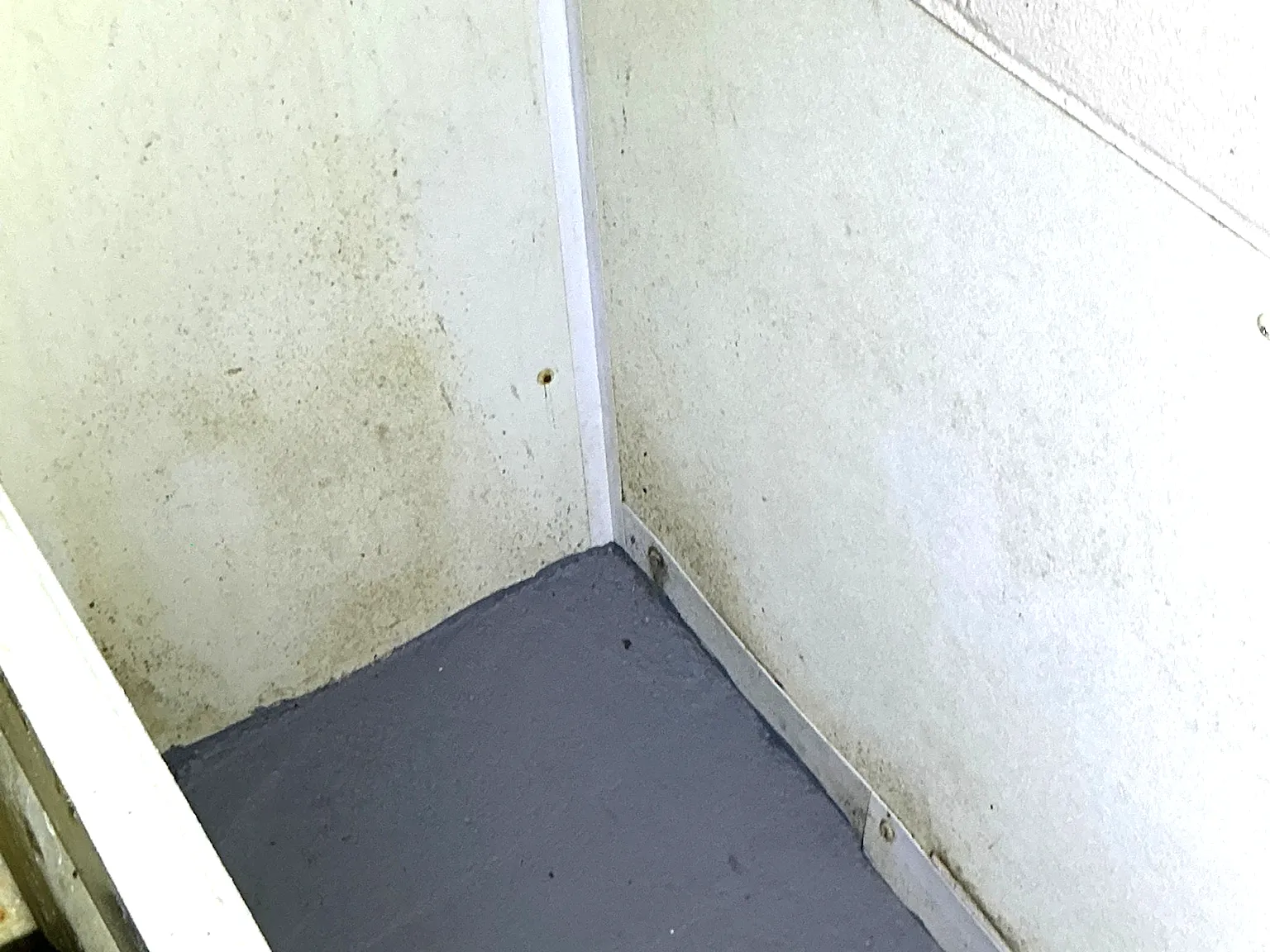Mold found during a home inspection in North Madison.