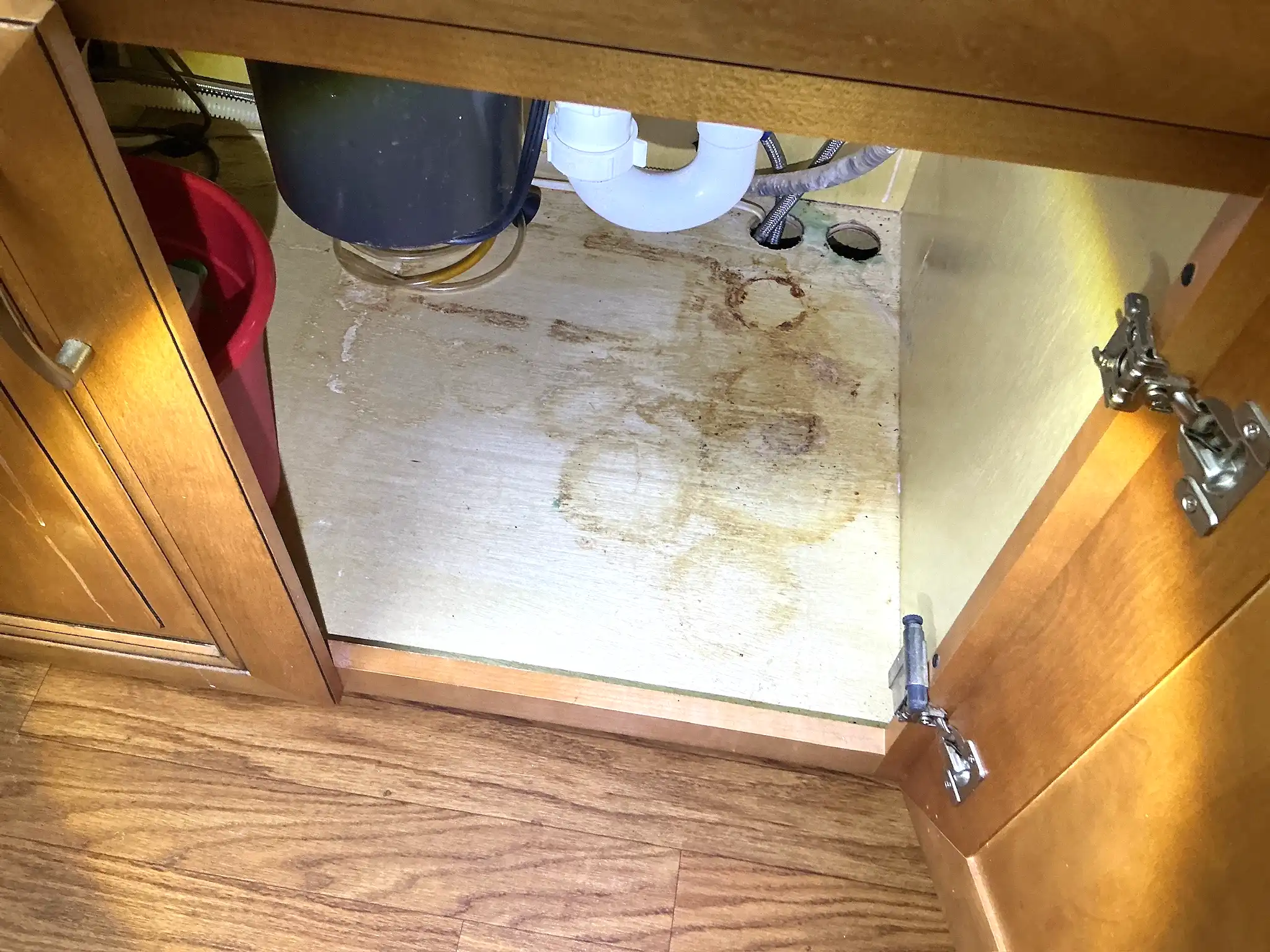 Mold found on a surface during an inspection in North Olmsted.