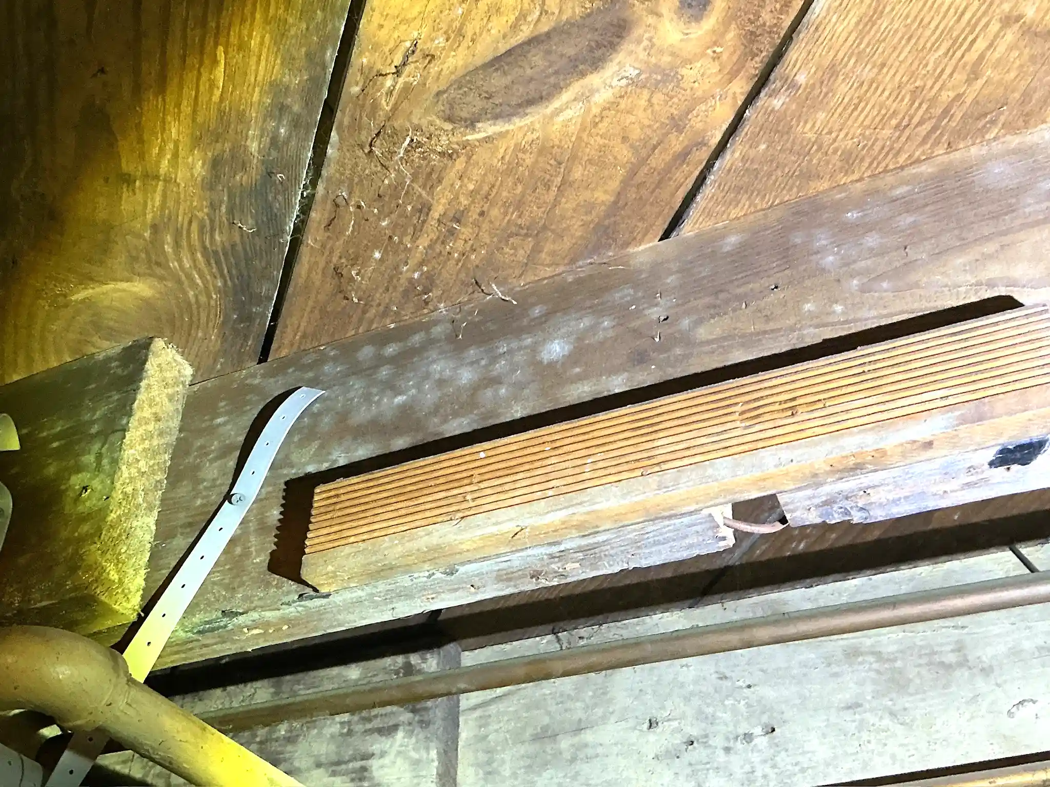 Mold inspection in North Olmsted.