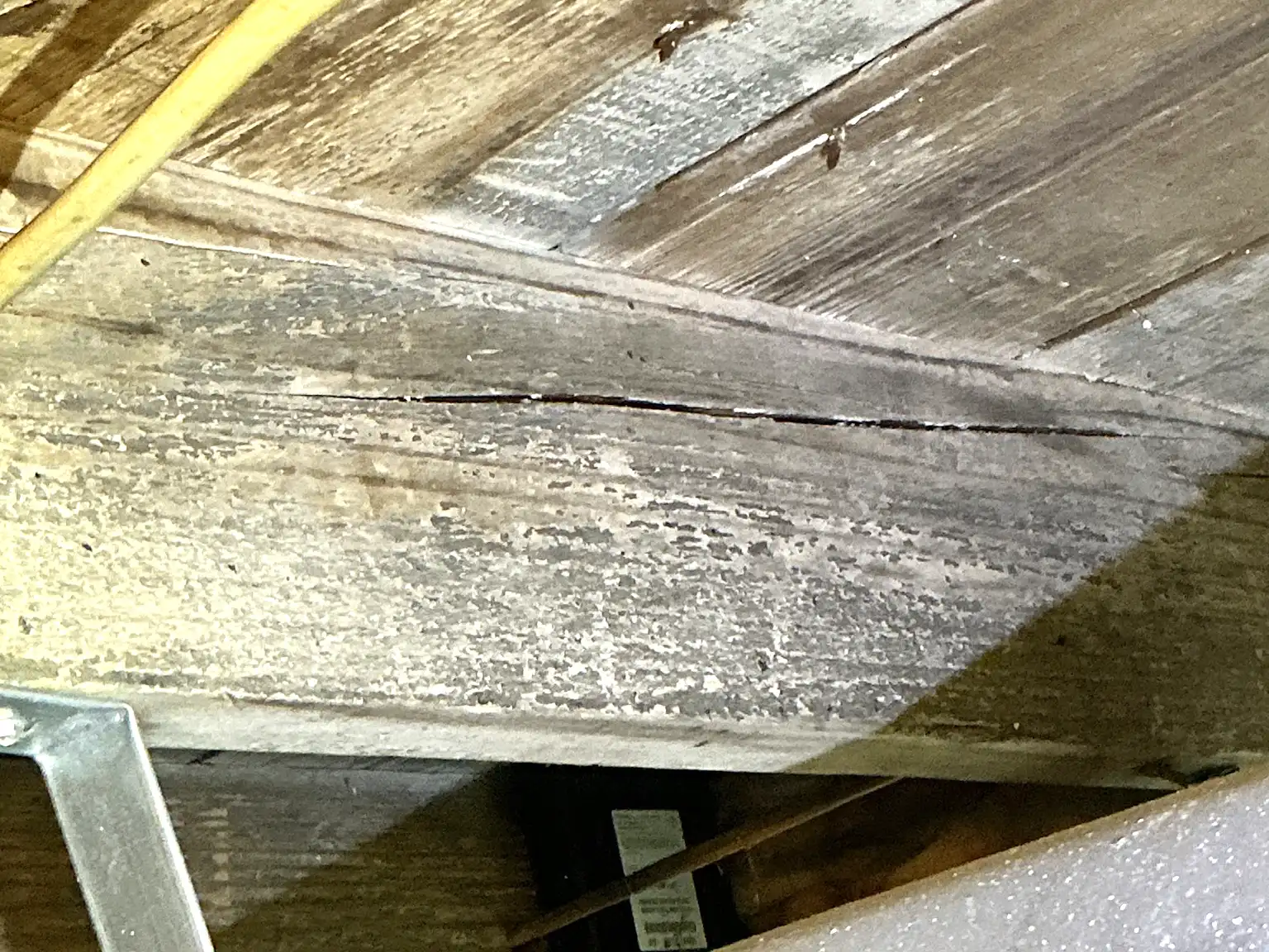 Mold found during a commercial mold inspection in North Olmsted.