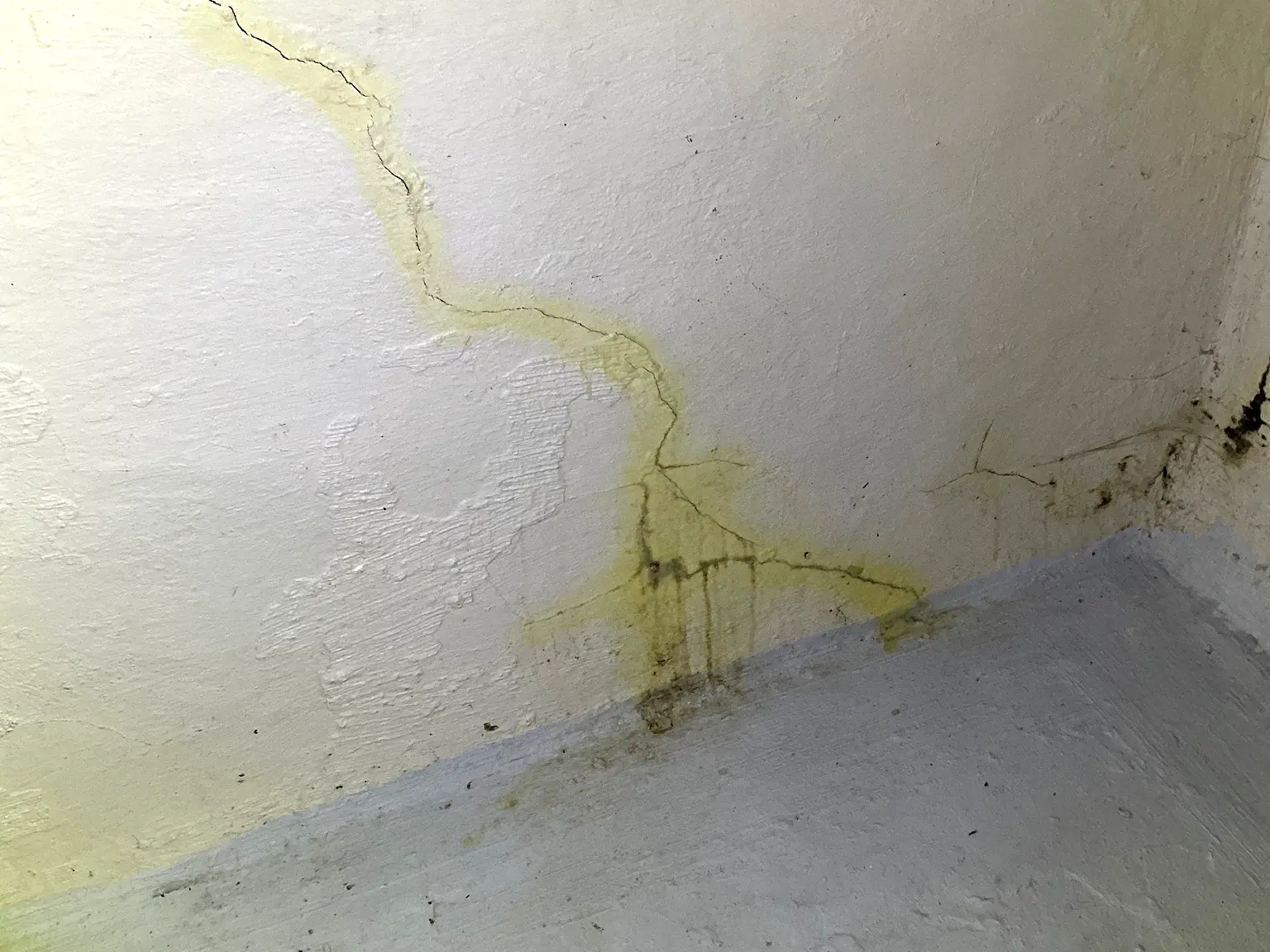 Look at what our mold inspector found in North Royalton..