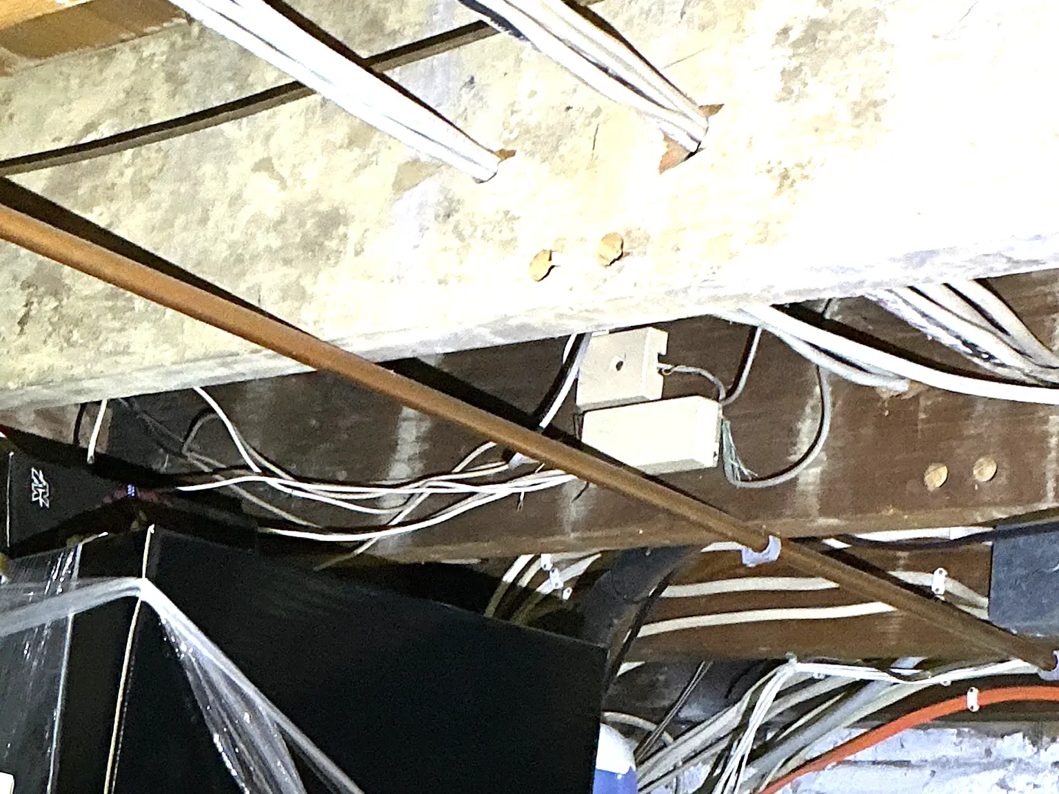 Mold found on a surface during an inspection in North Royalton.