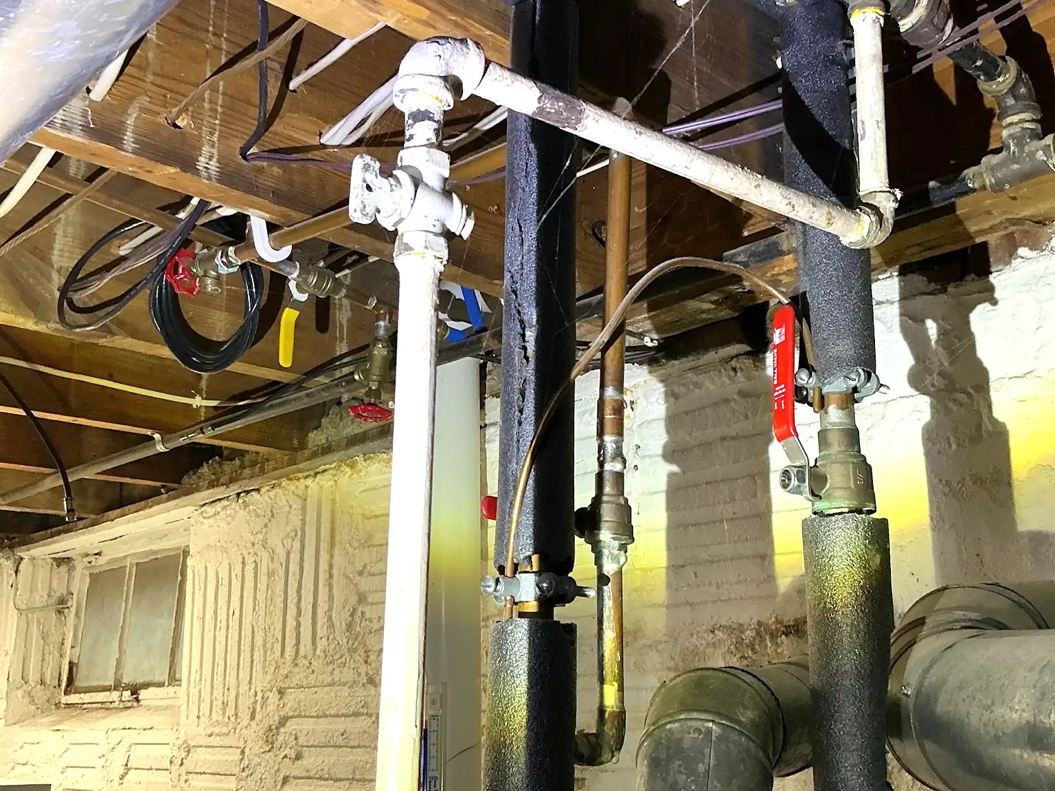 Our mold inspector found this surface mold in North Royalton.