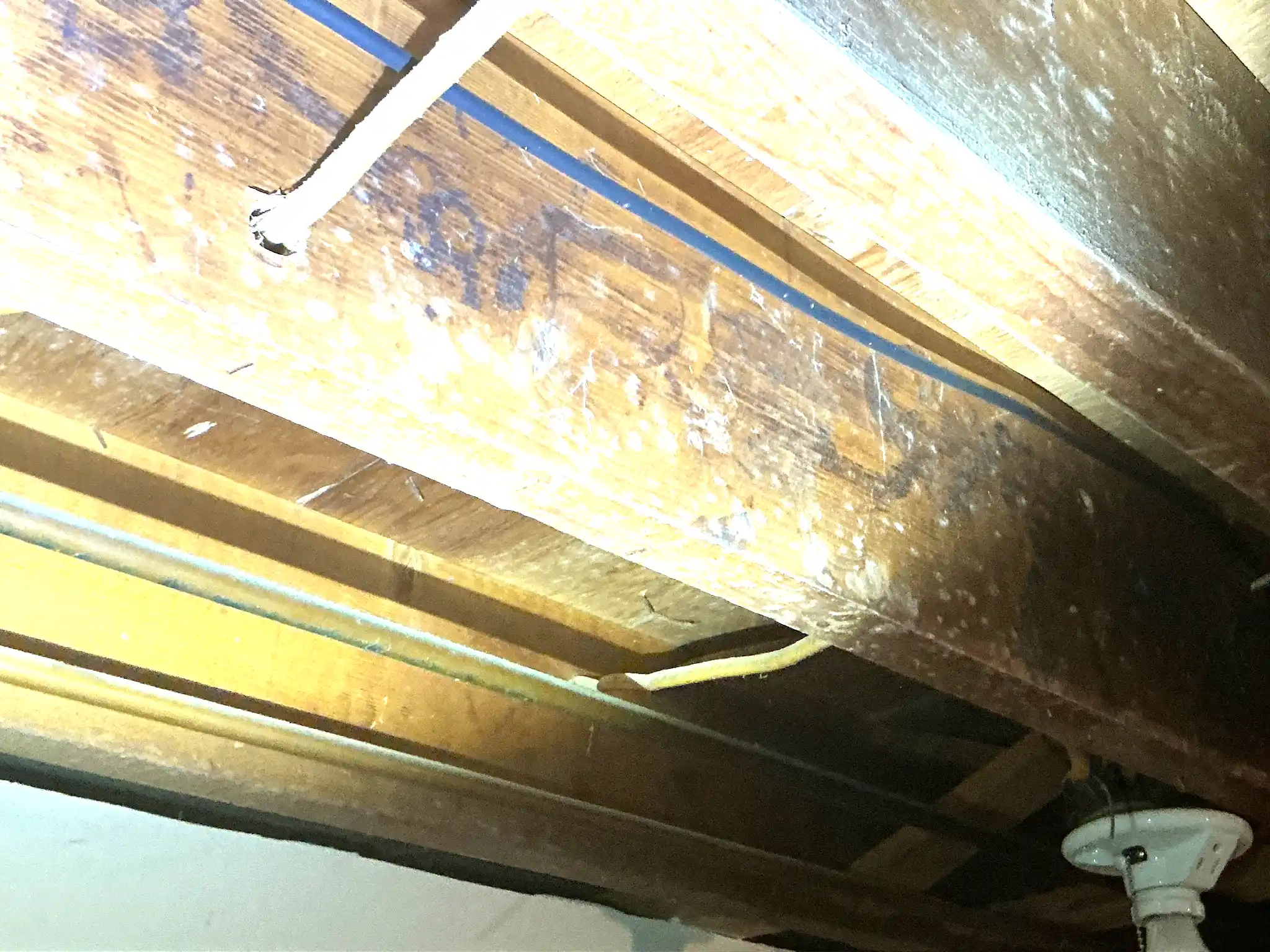 Look at what our mold inspector found in Northfield Center..