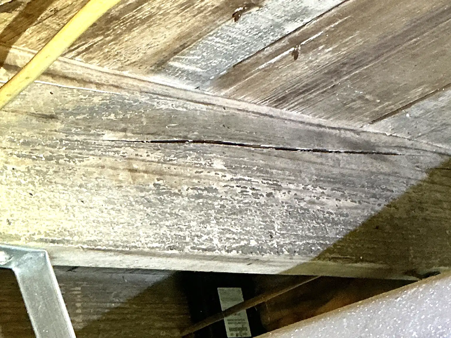 Mold found on a surface during an inspection in Northfield Center.