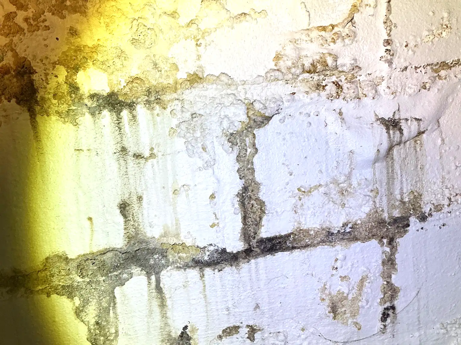 Our mold inspector found this surface mold in Northfield Center.