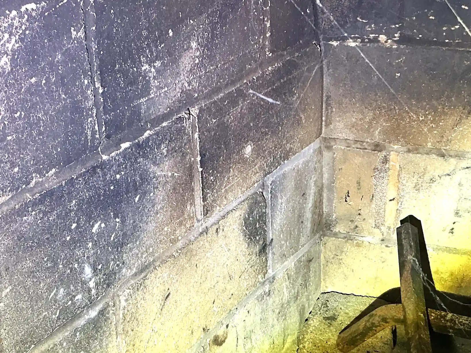 Mold found during a home inspection in Northfield Center.