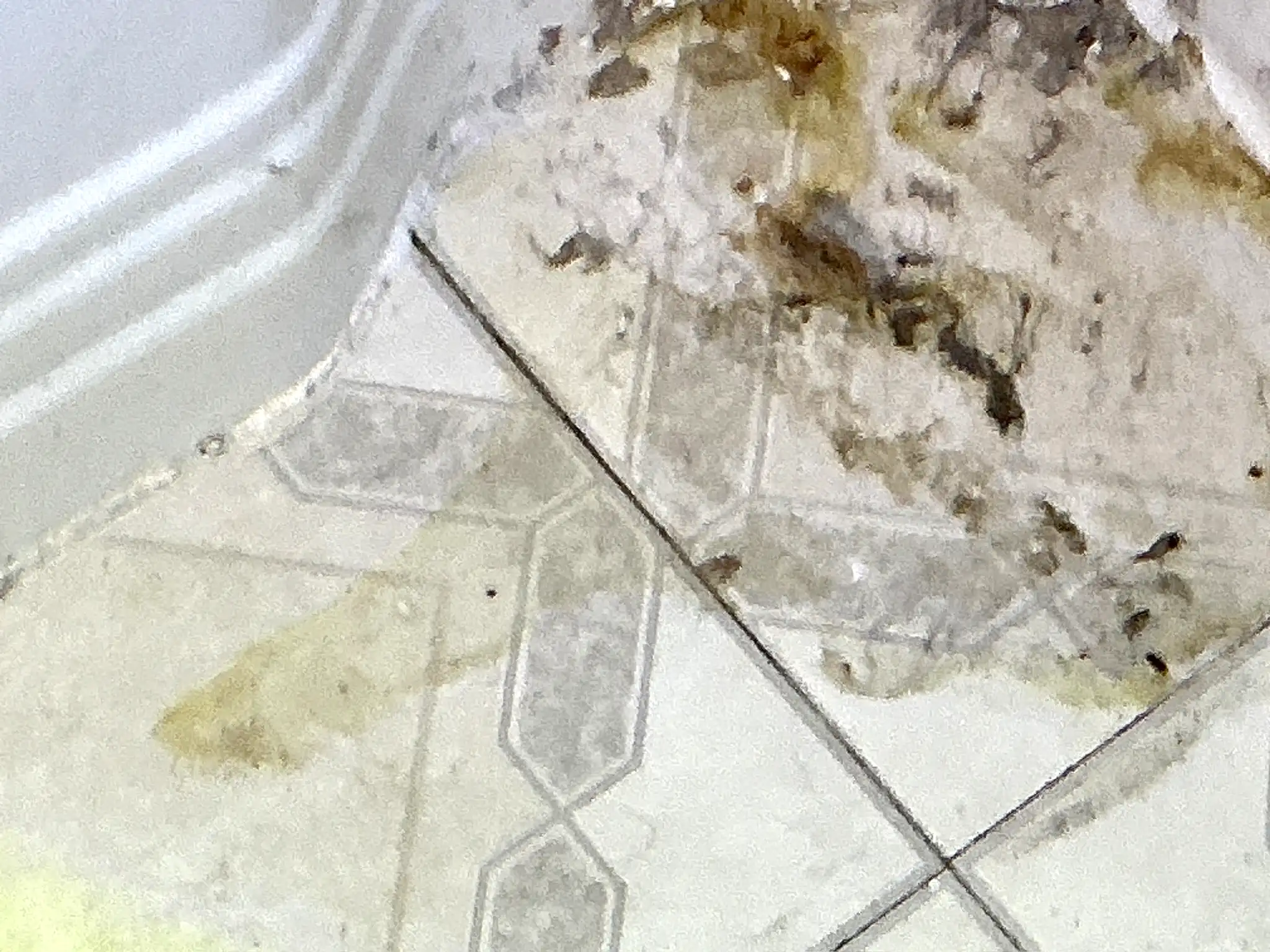 Mold found during a commercial mold inspection in Northfield Center.