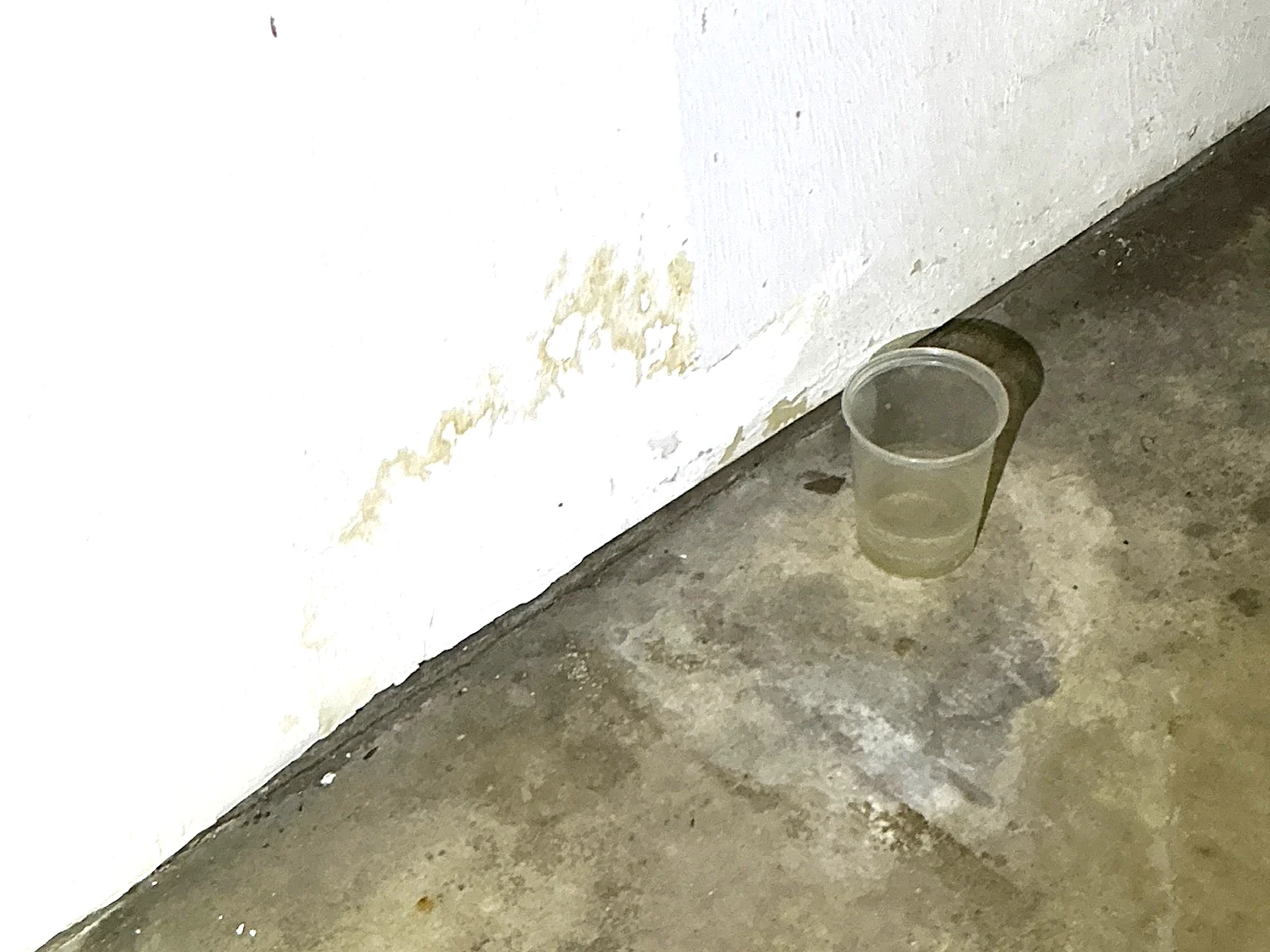 Mold found on a surface during an inspection in Northfield.