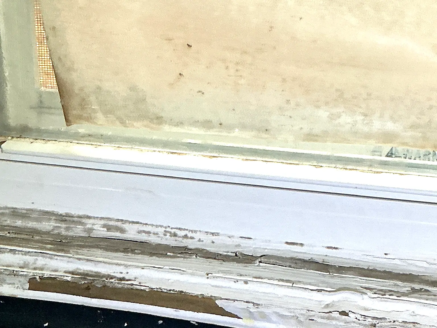 Mold inspection in Northfield.