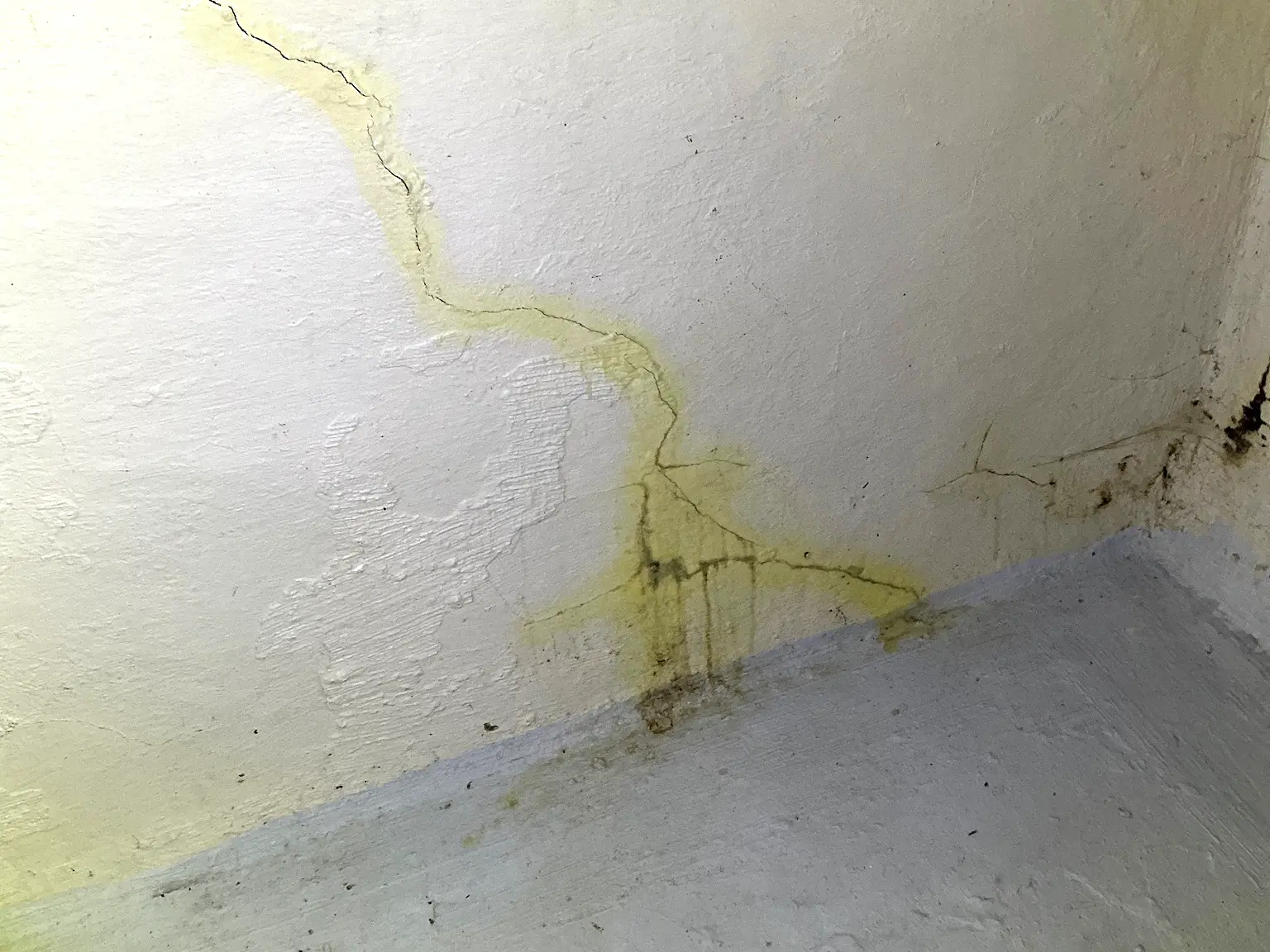 Our mold inspector found this surface mold in Northfield.