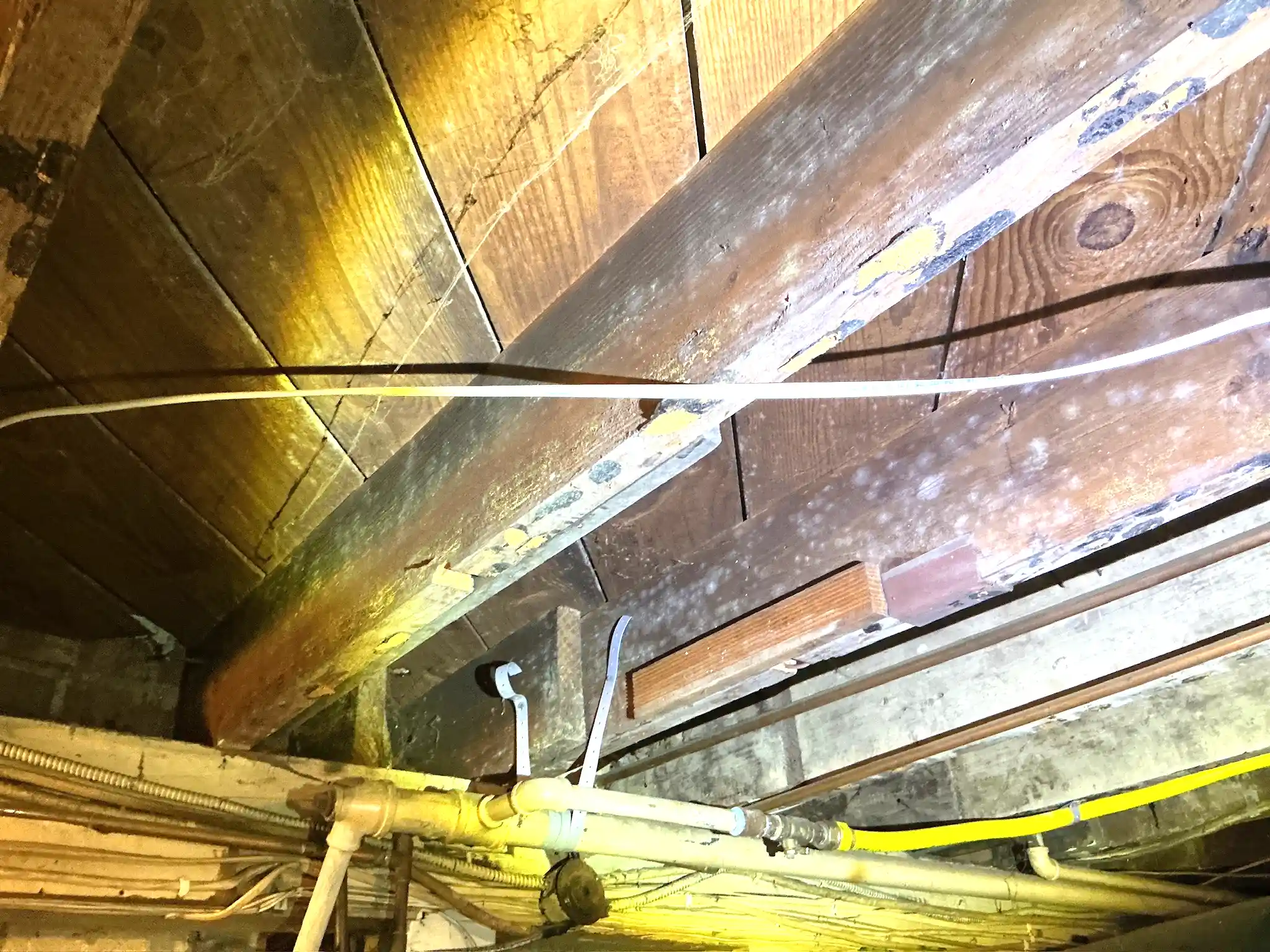 Mold found during a home inspection in Northfield.