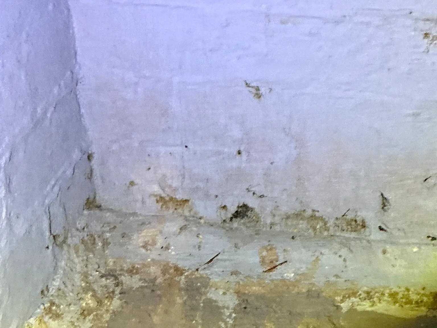 Mold found during a home inspection in Norton.