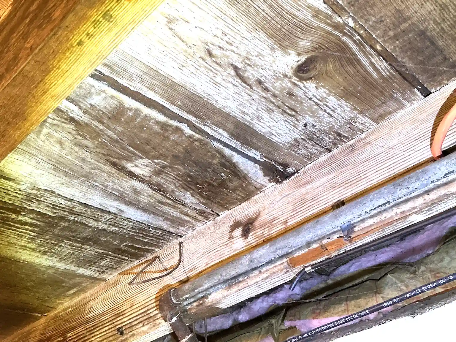 Look at what our mold inspector found in Oakwood..