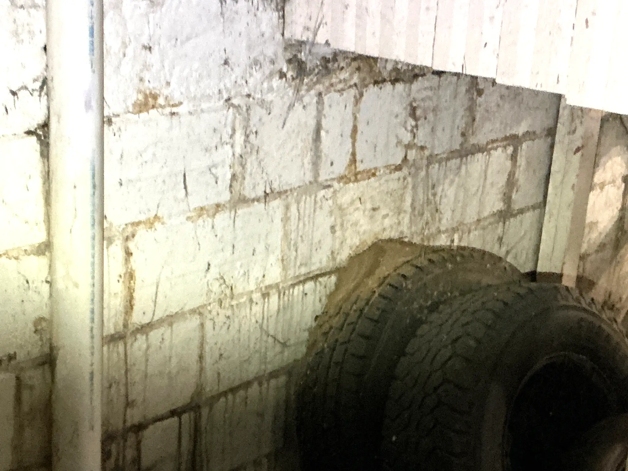 Our mold inspector found this surface mold in Oakwood.