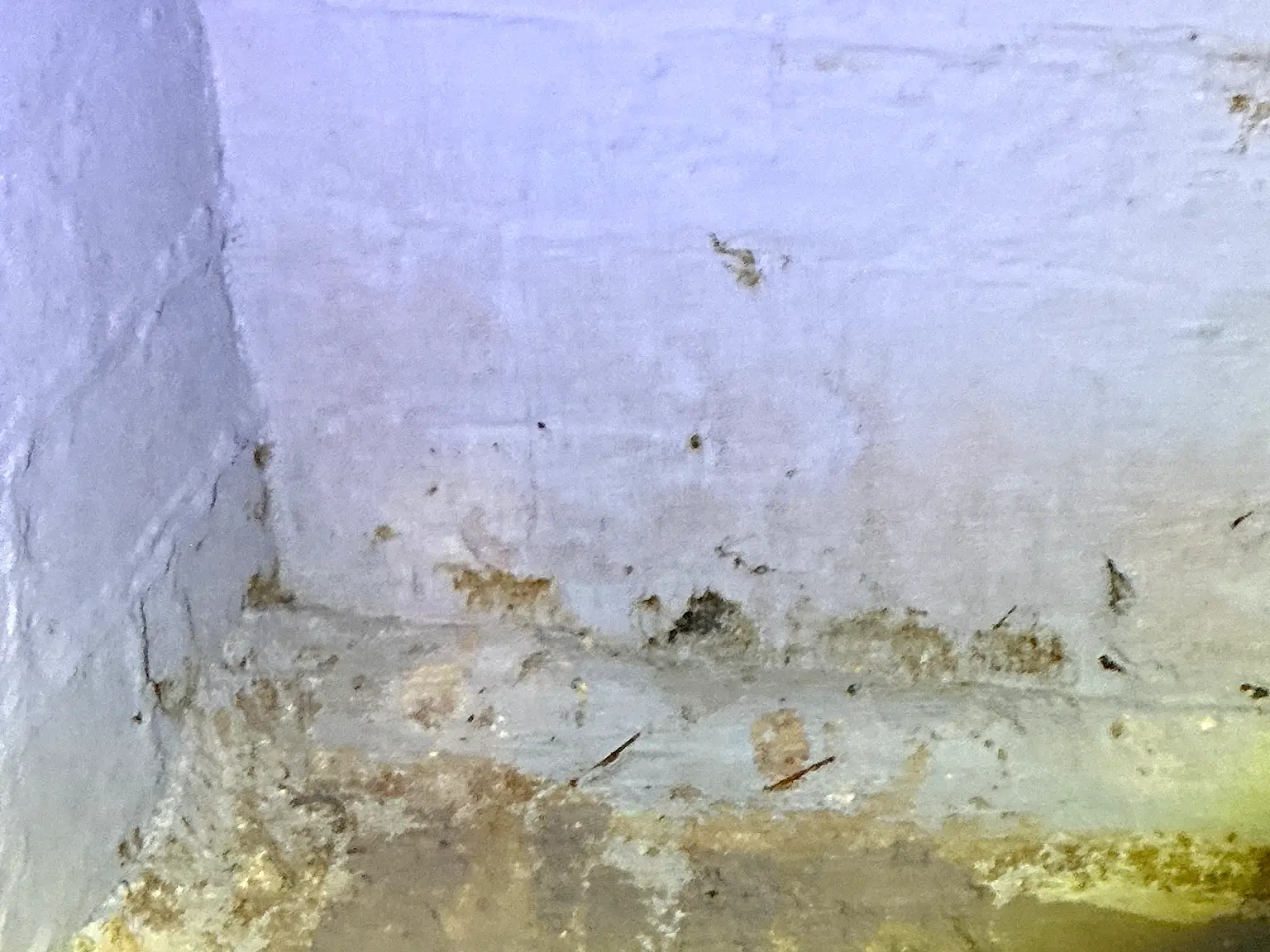 Mold found during a home inspection in Oakwood.