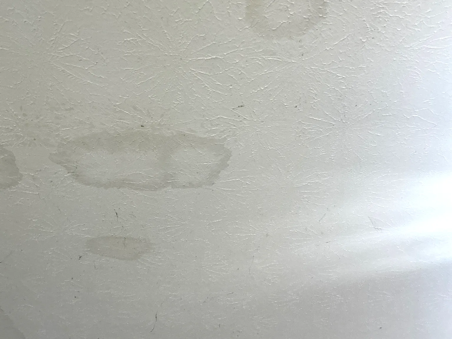 Mold found during a commercial mold inspection in Oakwood.