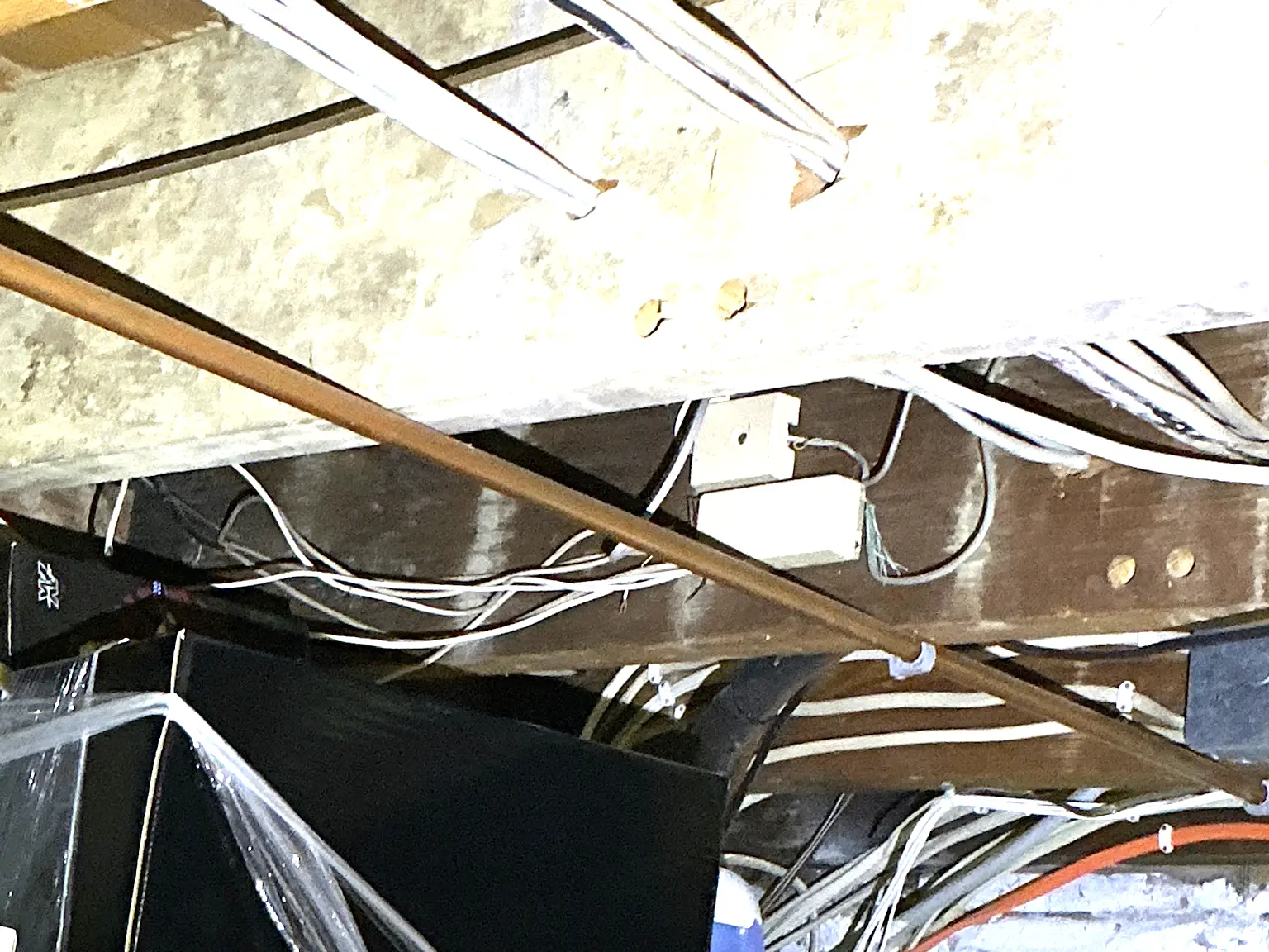 Our mold inspector found this surface mold in Olmsted Falls.