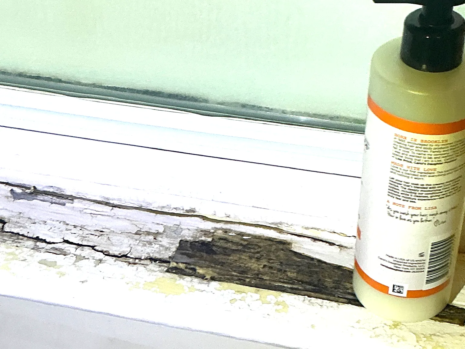 Mold found during a home inspection in Olmsted Falls.