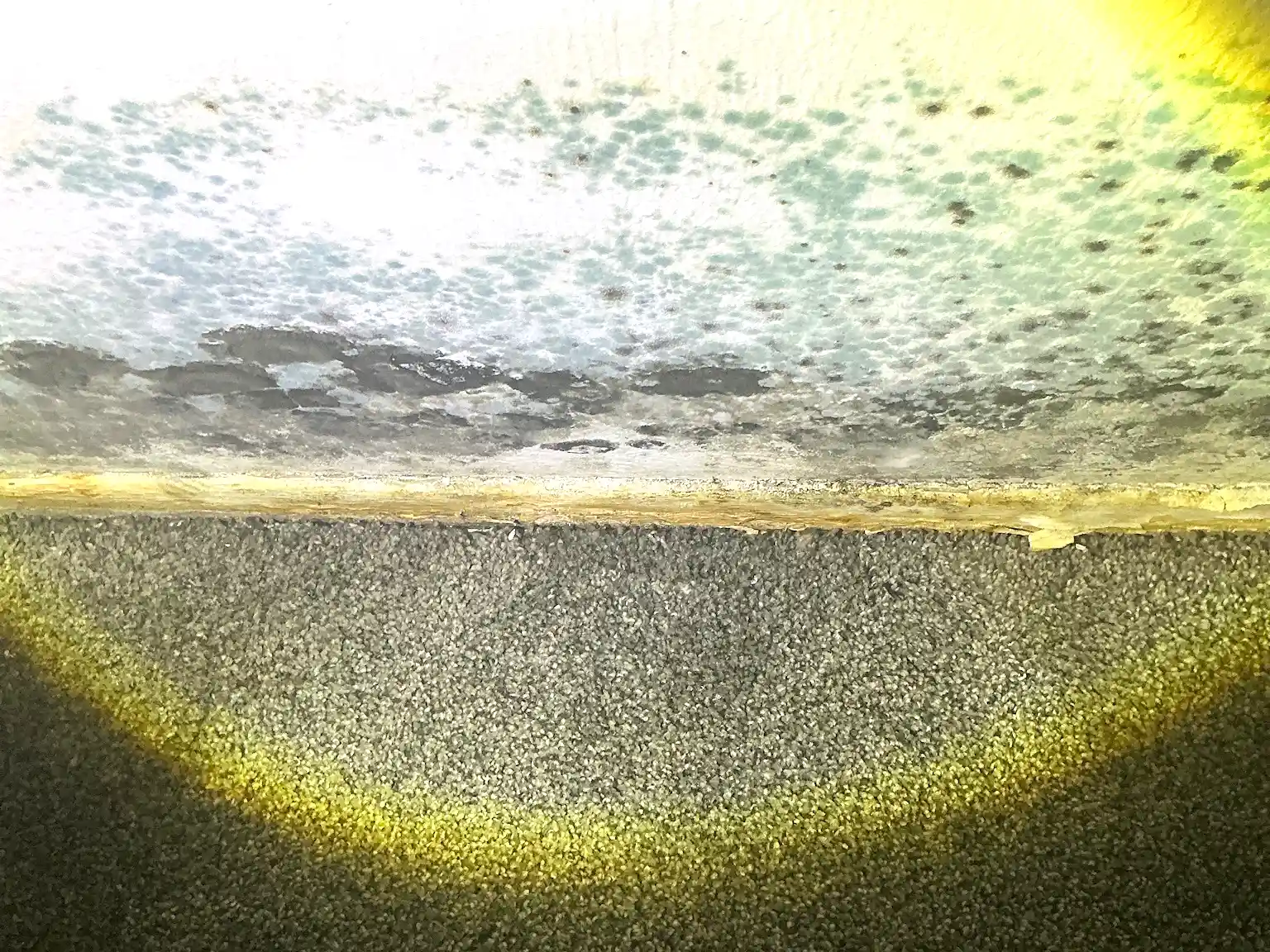 Mold found during a commercial mold inspection in Olmsted Falls.