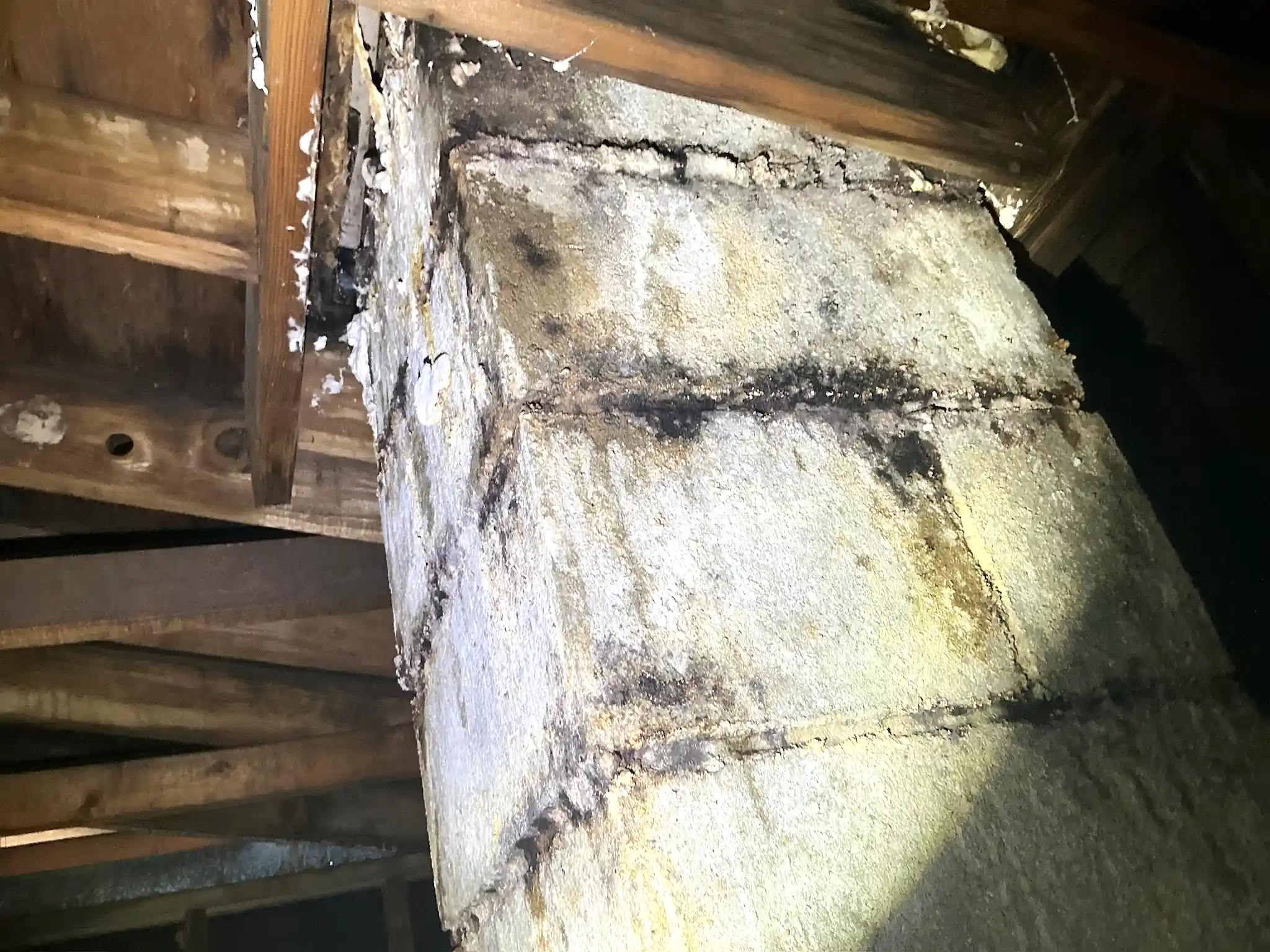 Look at what our mold inspector found in Olmsted..