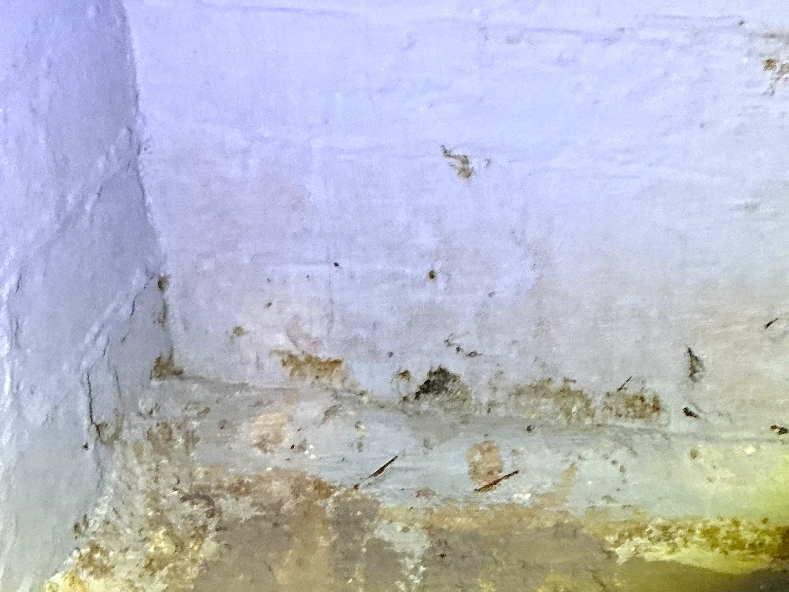 Mold found on a surface during an inspection in Olmsted.
