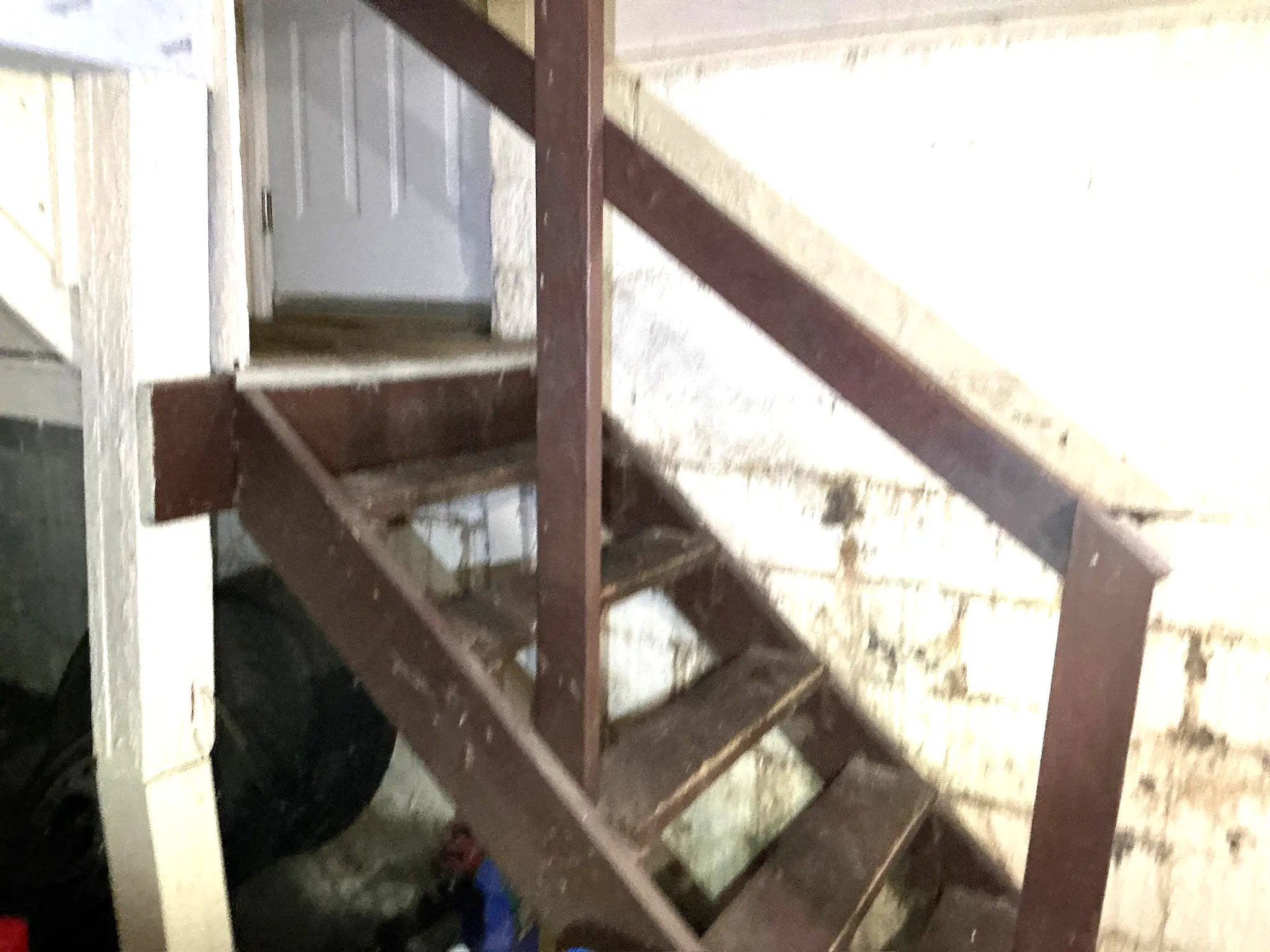 Our mold inspector found this surface mold in Olmsted.