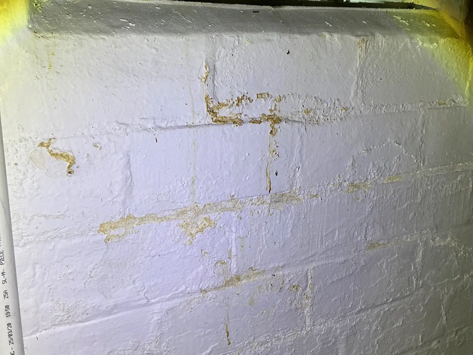 Look at what our mold inspector found in Orange..