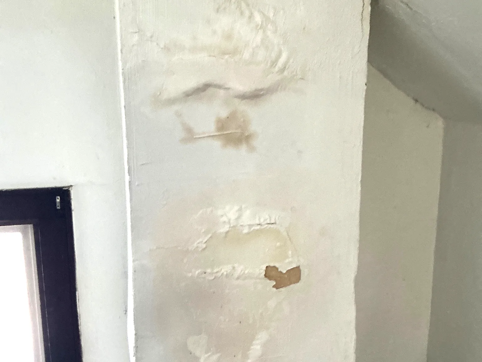 Look at what our mold inspector found in Painesville..
