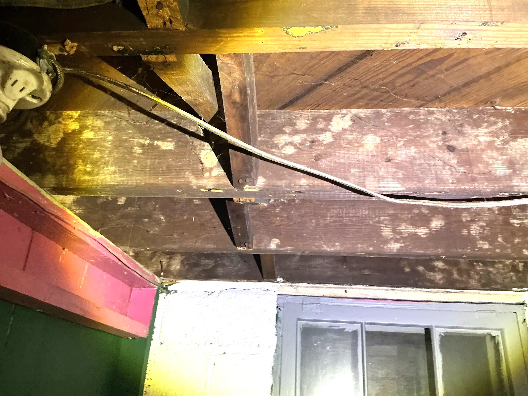 Mold inspection in Painesville.