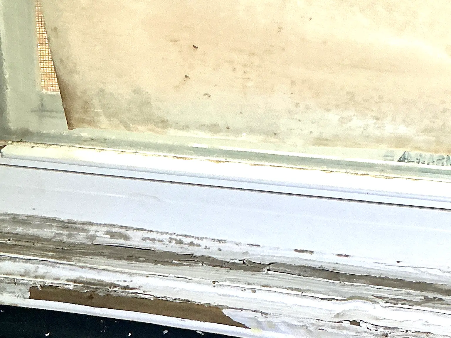 Our mold inspector found this surface mold in Painesville.