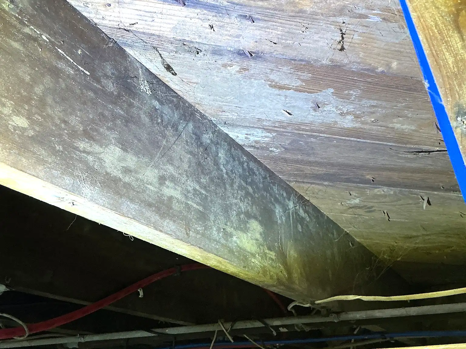 Mold found on a surface during an inspection in Parma Heights.