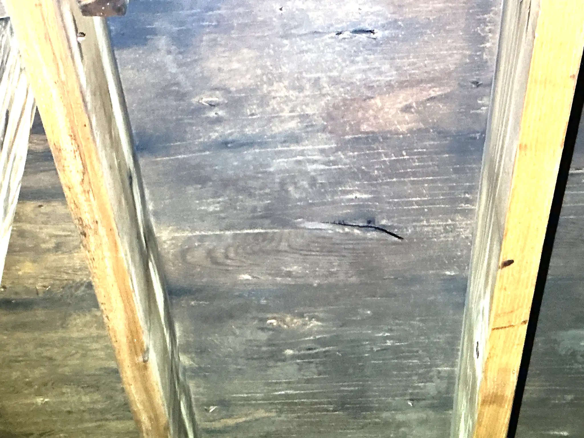 Mold inspection in Parma Heights.