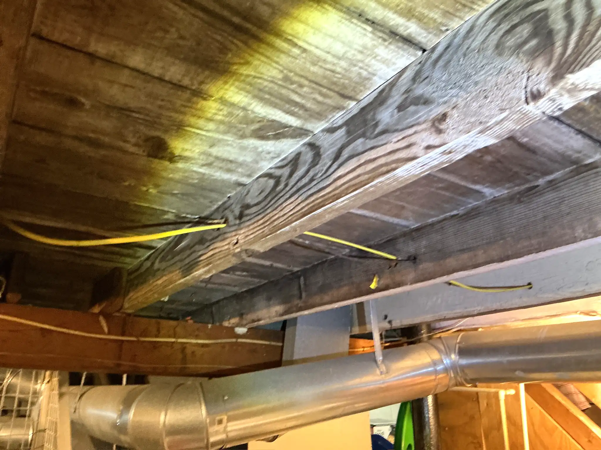 Our mold inspector found this surface mold in Parma Heights.
