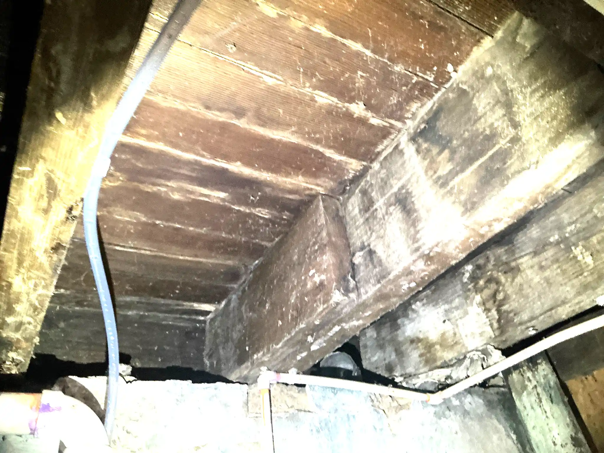 Mold found during a home inspection in Parma Heights.