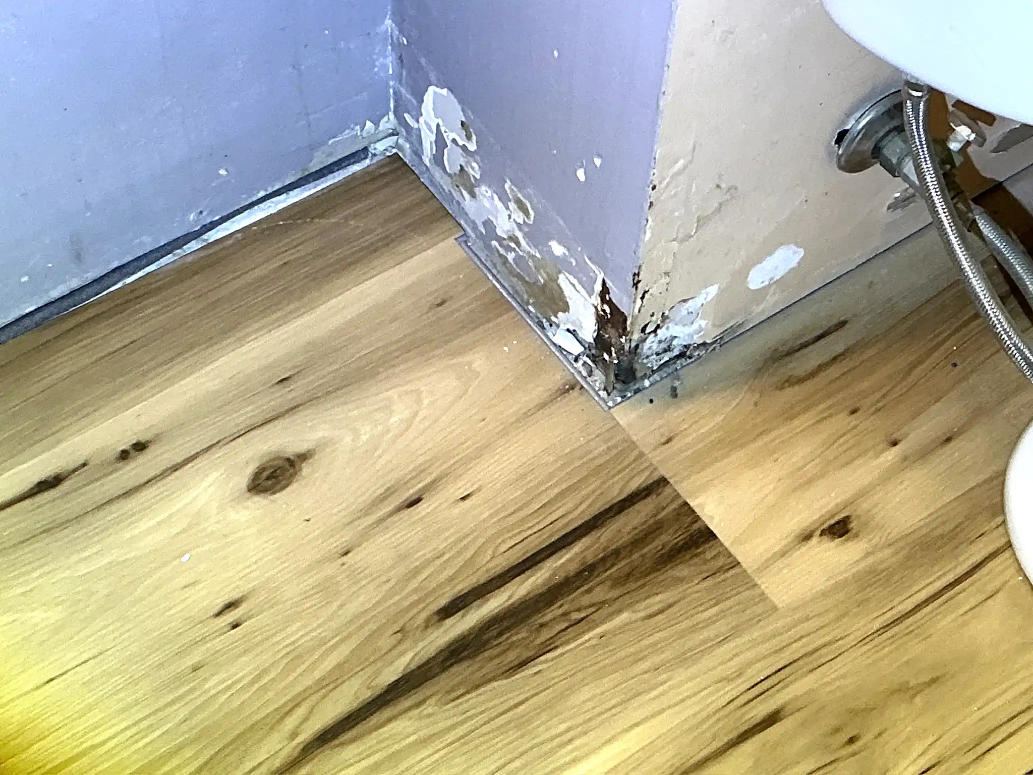 Mold found during a commercial mold inspection in Parma Heights.