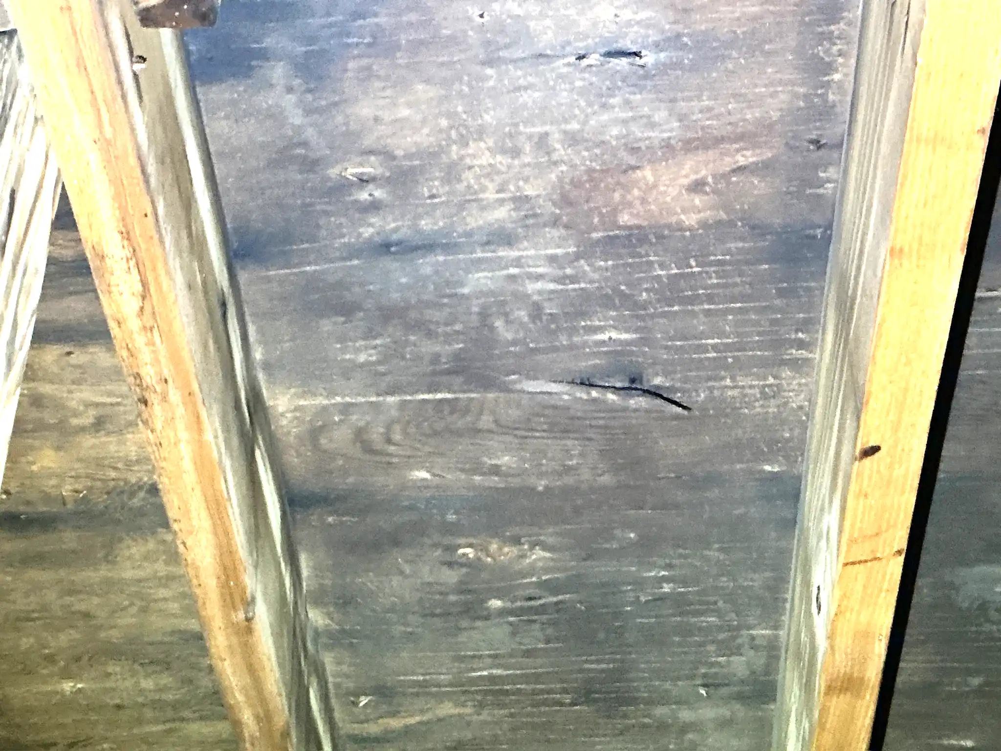Mold inspection in Parma.