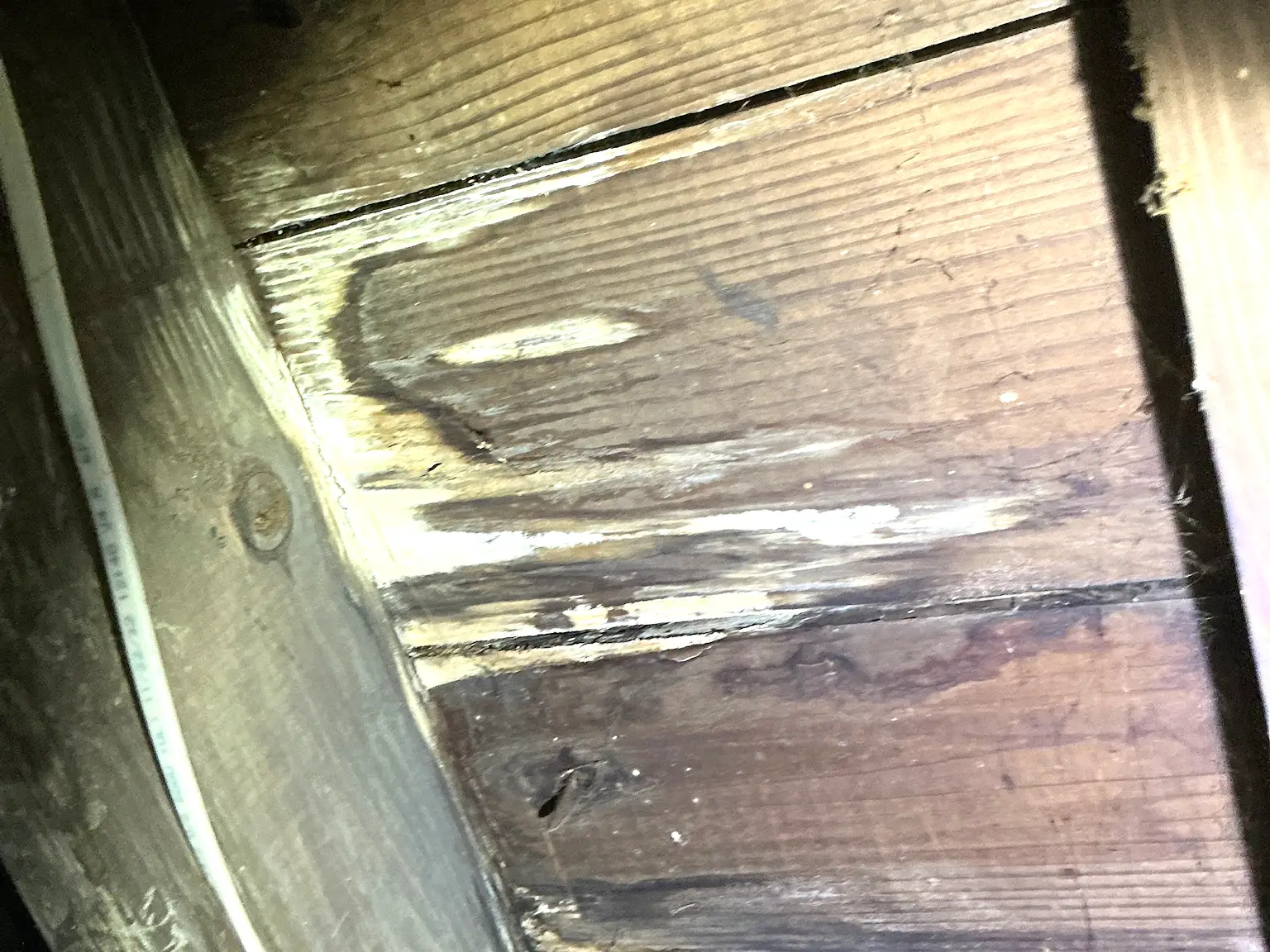 Look at what our mold inspector found in Pepper Pike..