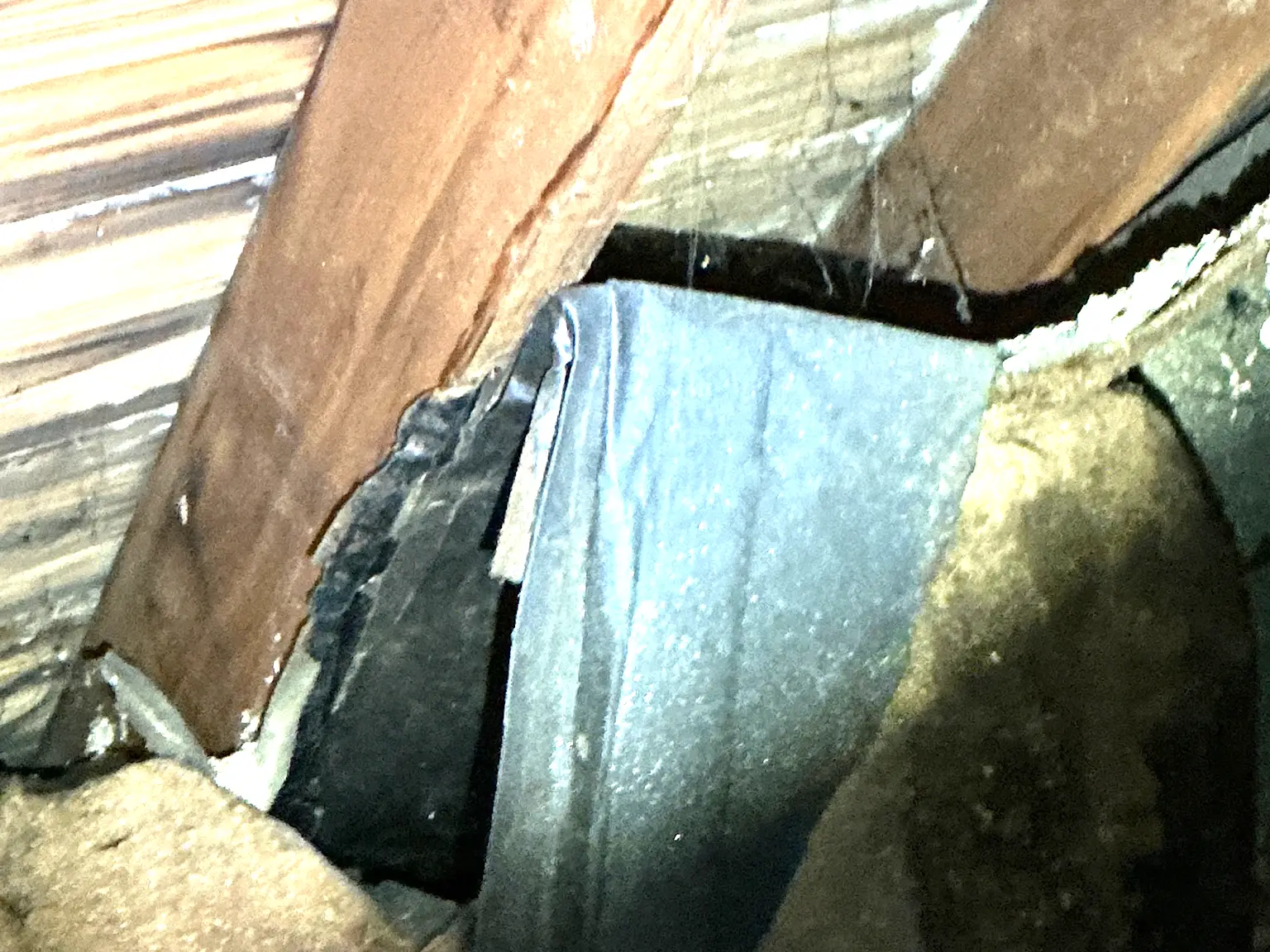 Mold found on a surface during an inspection in Pepper Pike.