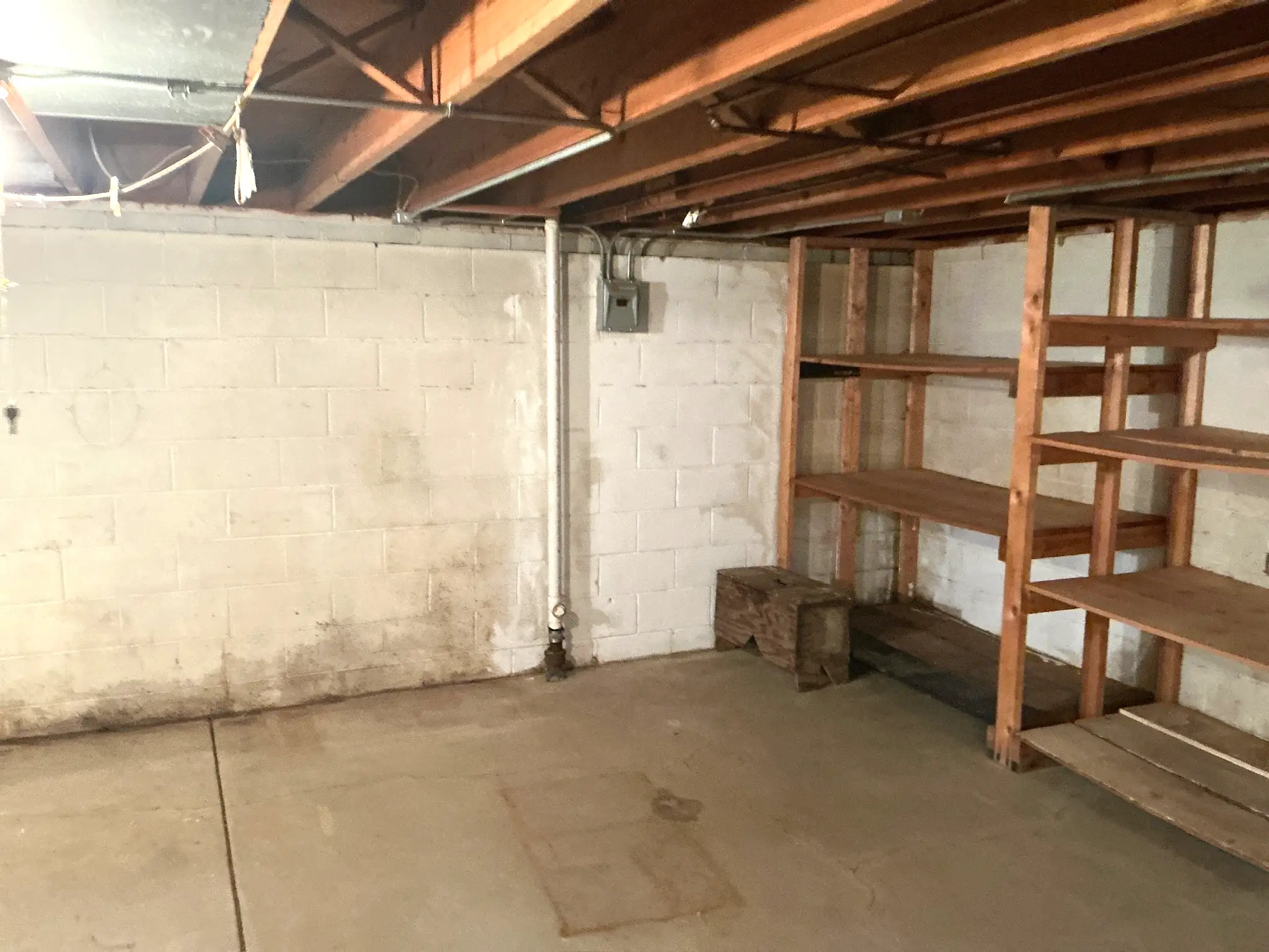 Mold inspection in Pepper Pike.