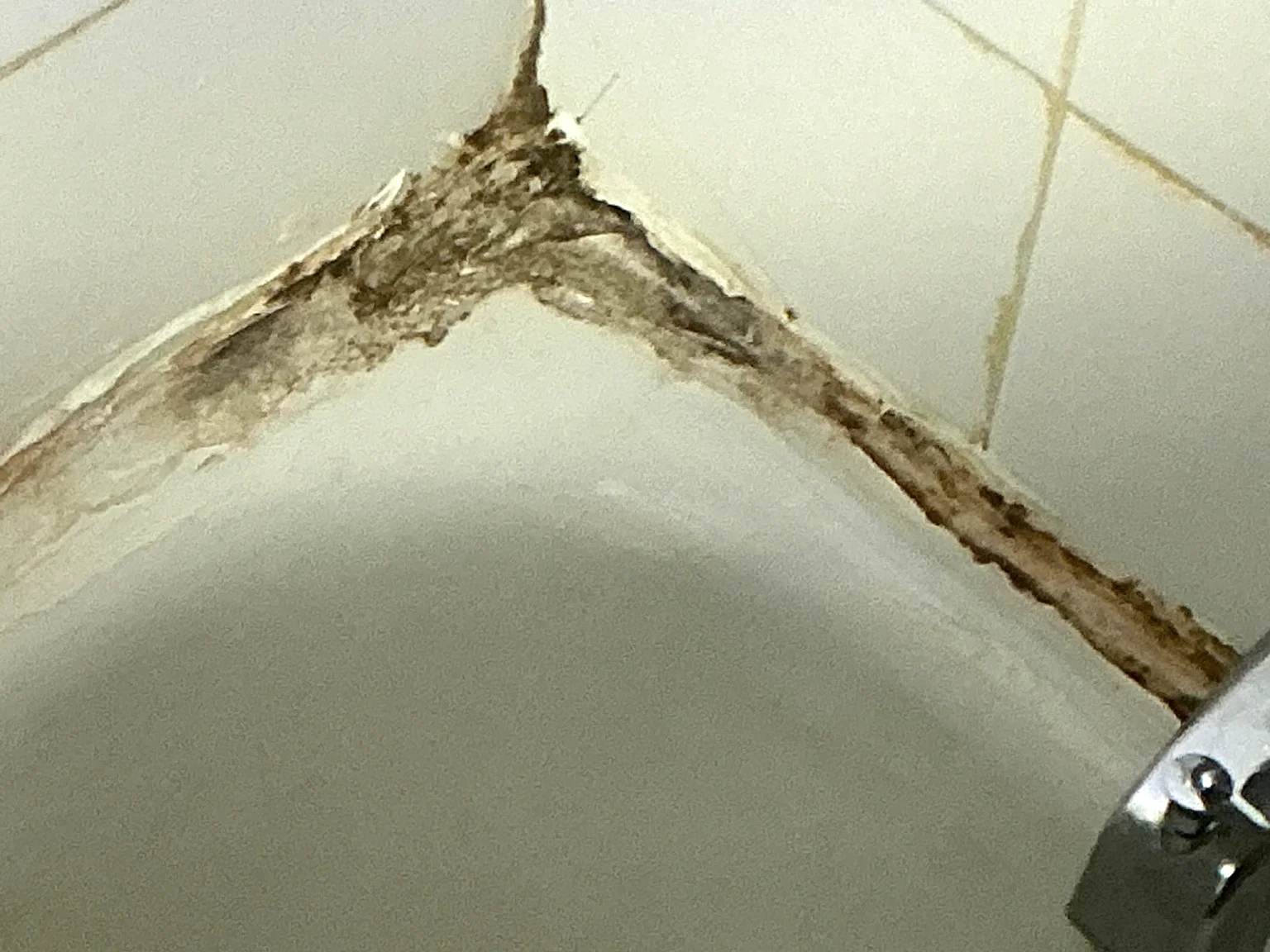 Mold found during a home inspection in Pepper Pike.