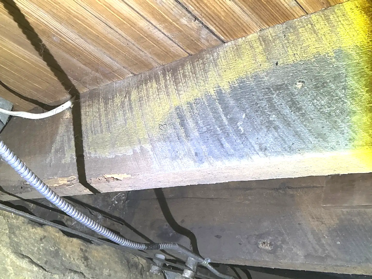 Mold inspection in Perry Heights.