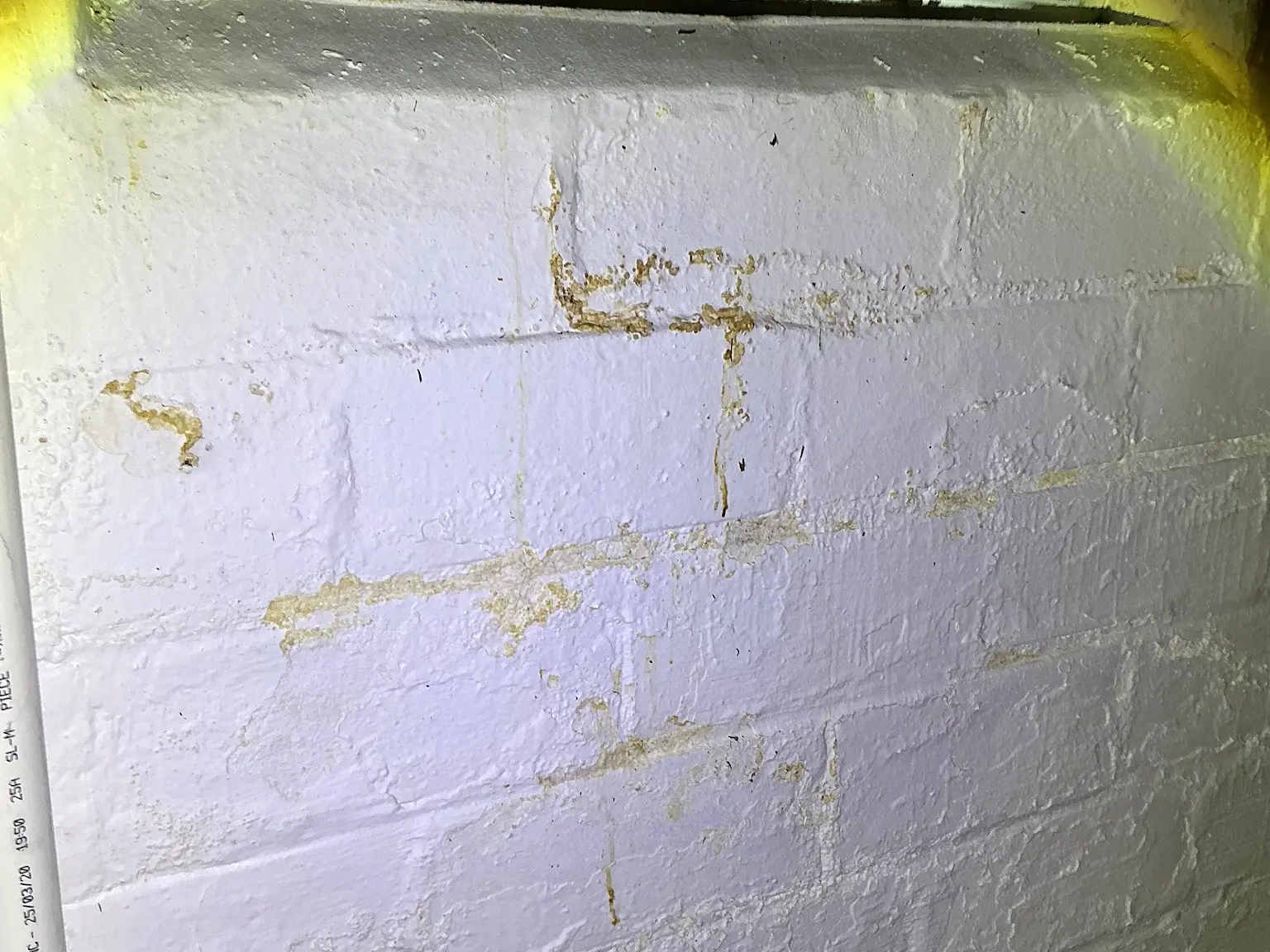 Our mold inspector found this surface mold in Perry Heights.