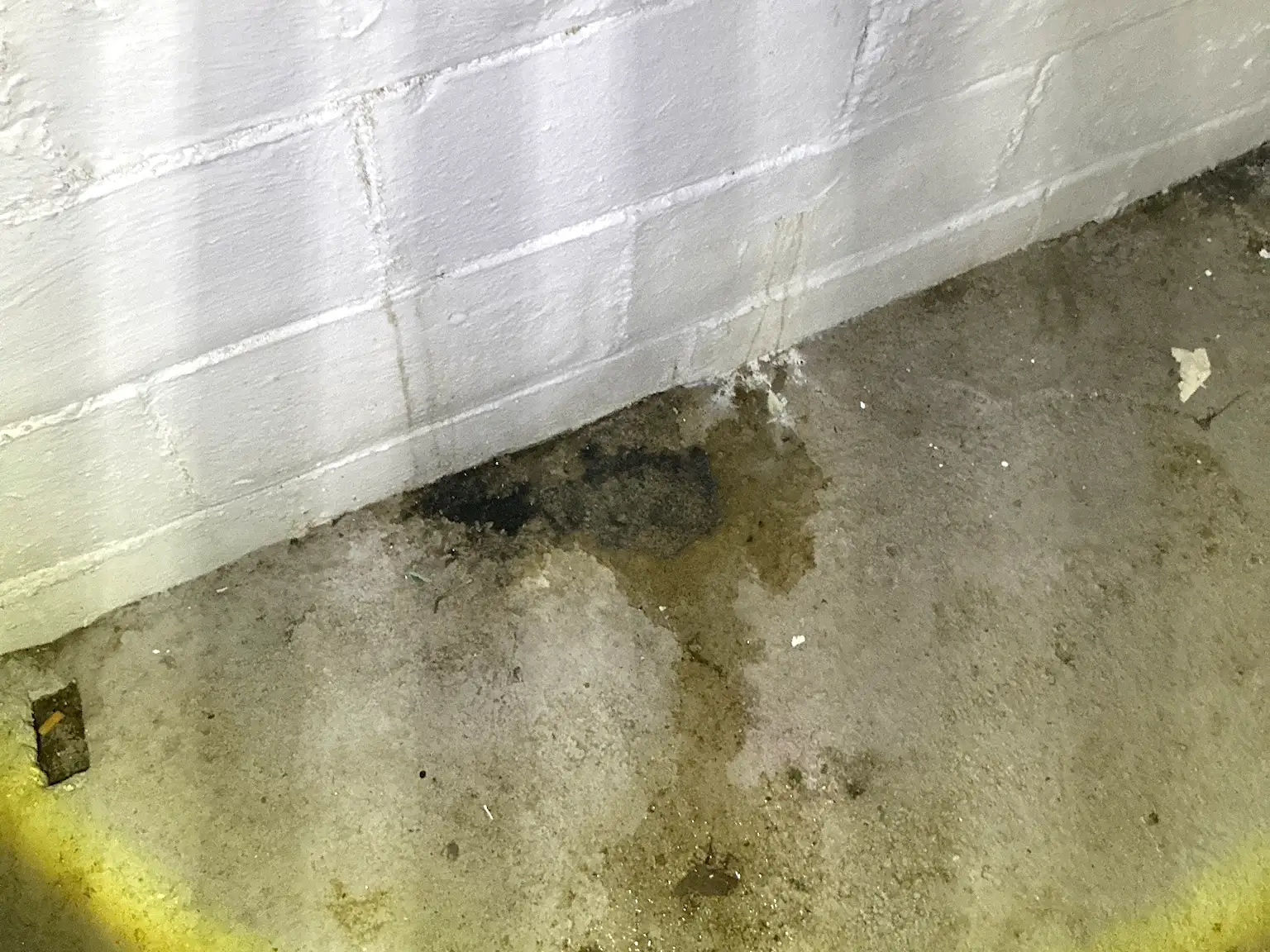Look at what our mold inspector found in Plain..