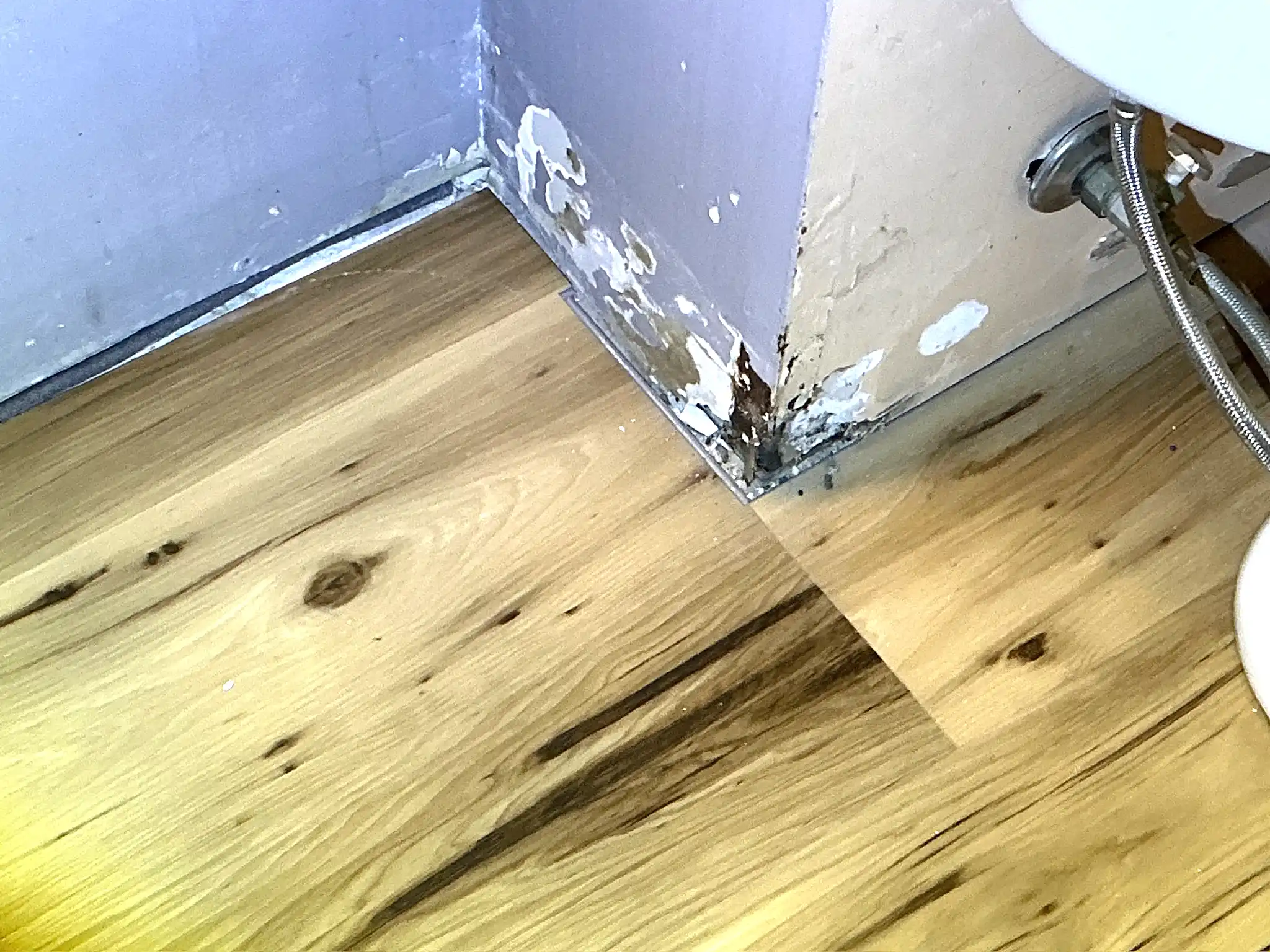 Mold found on a surface during an inspection in Plain.