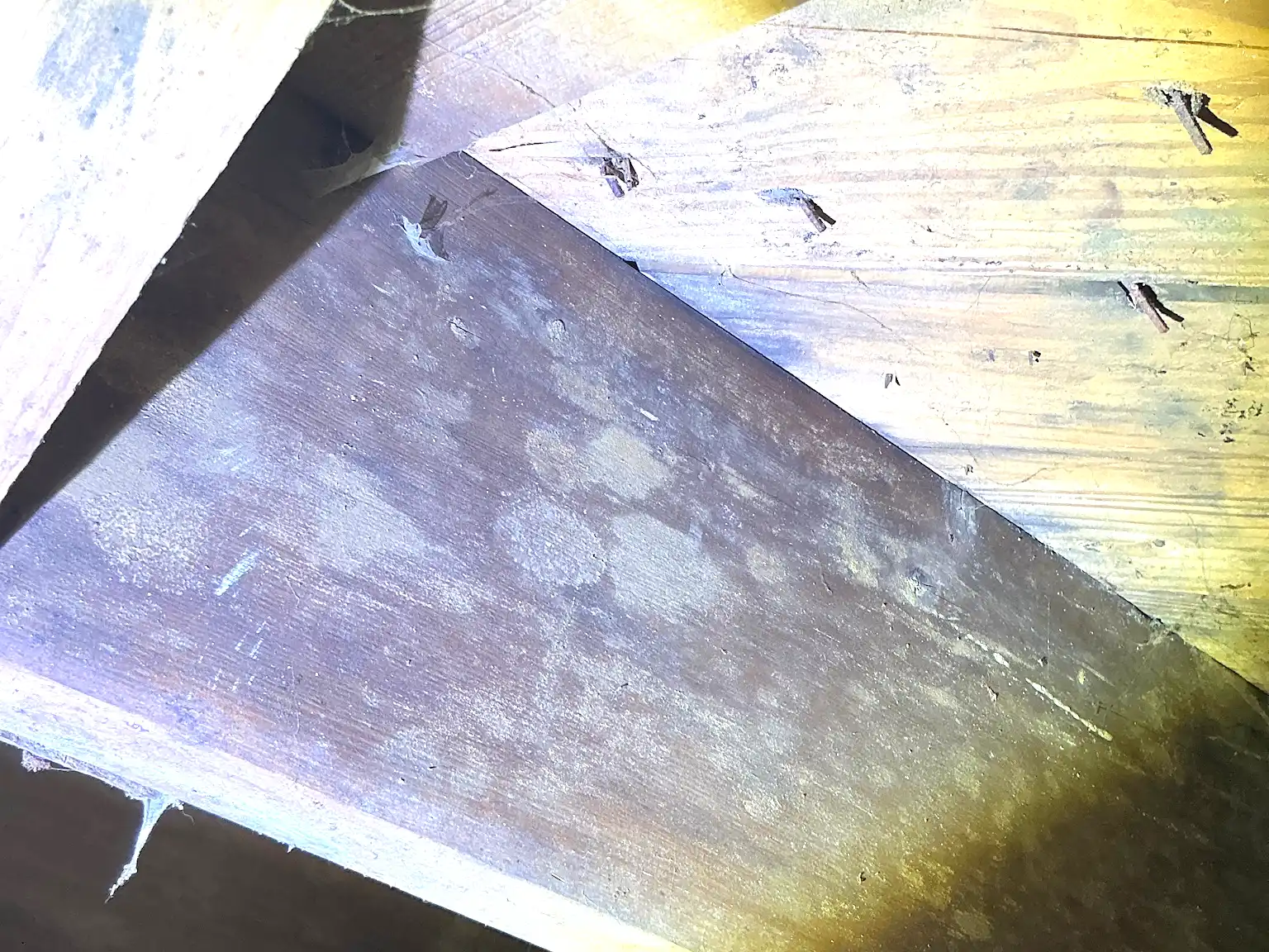 Mold inspection in Plain.