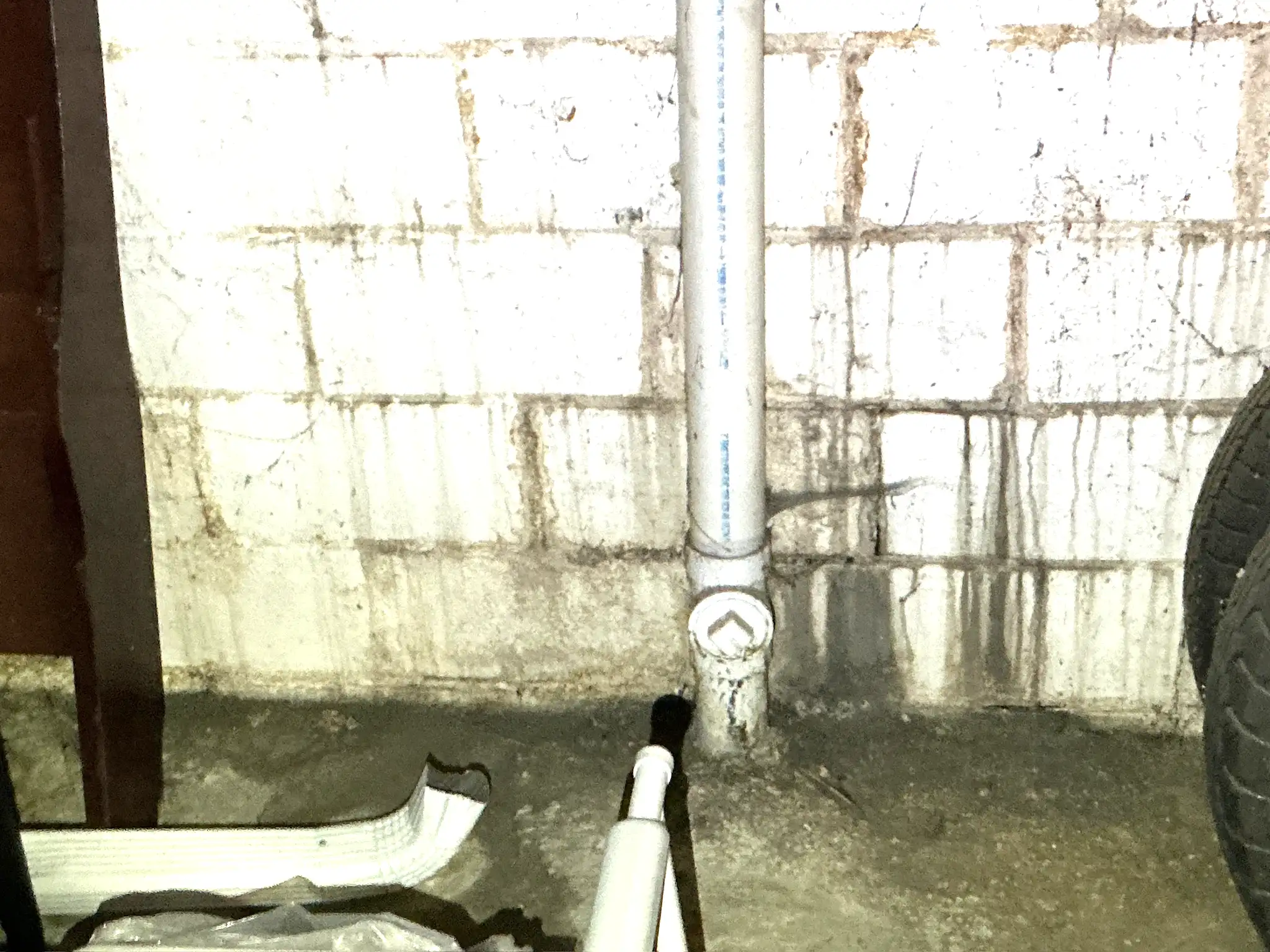 Our mold inspector found this surface mold in Plain.