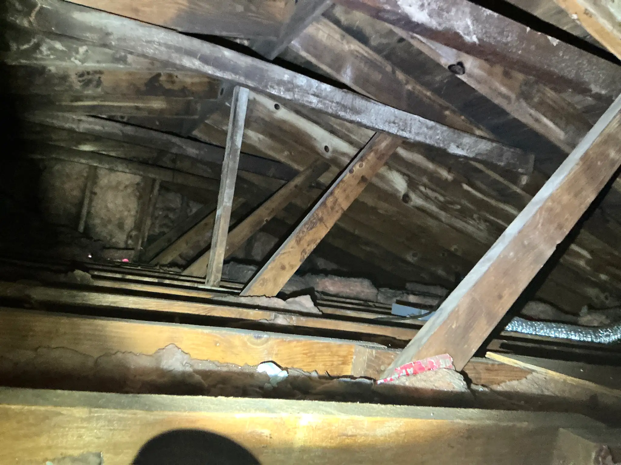 Mold found during a home inspection in Plain.